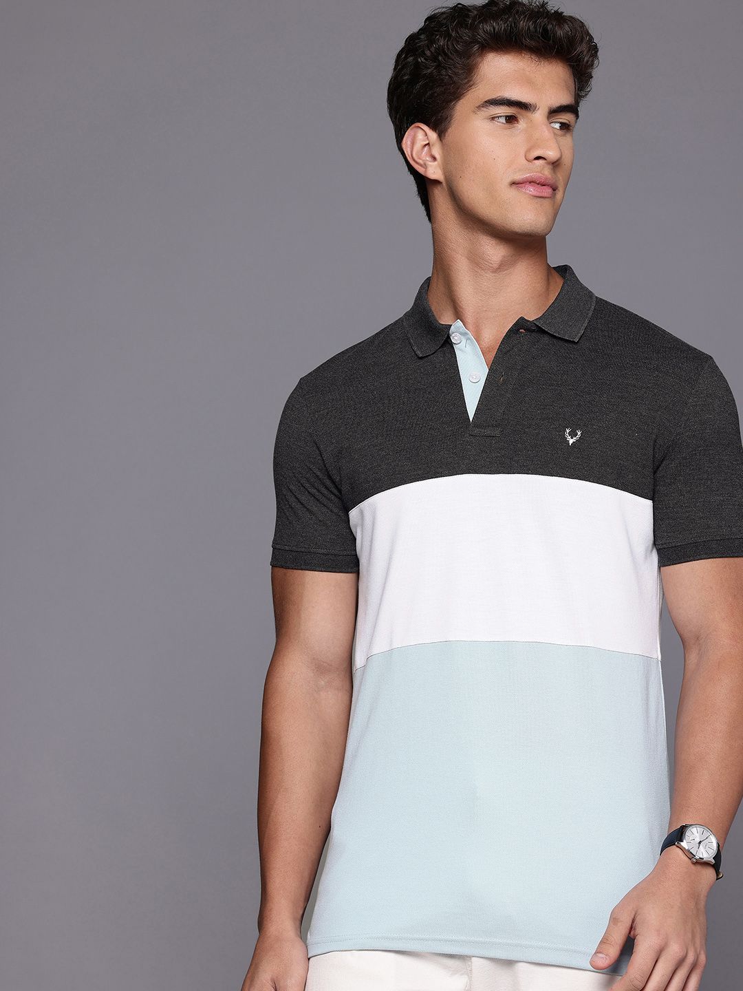 Allen Solly Colourblocked Polo Collar T-shirt