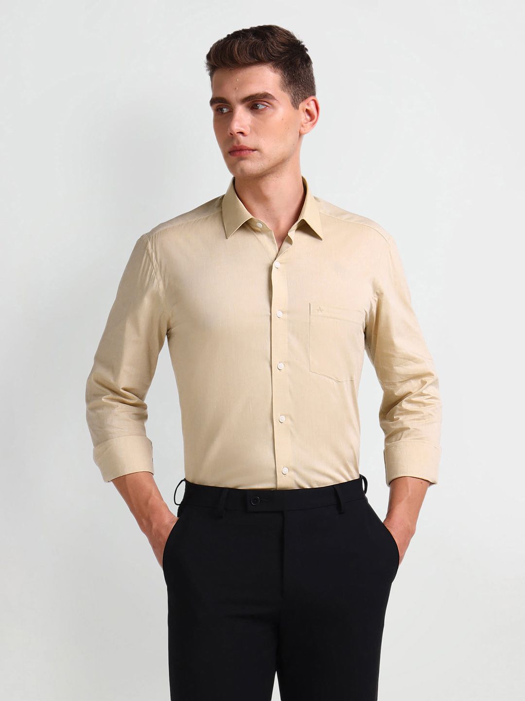 Arrow Arrow Manhattan Slim Fit Pure Cotton Formal Shirt
