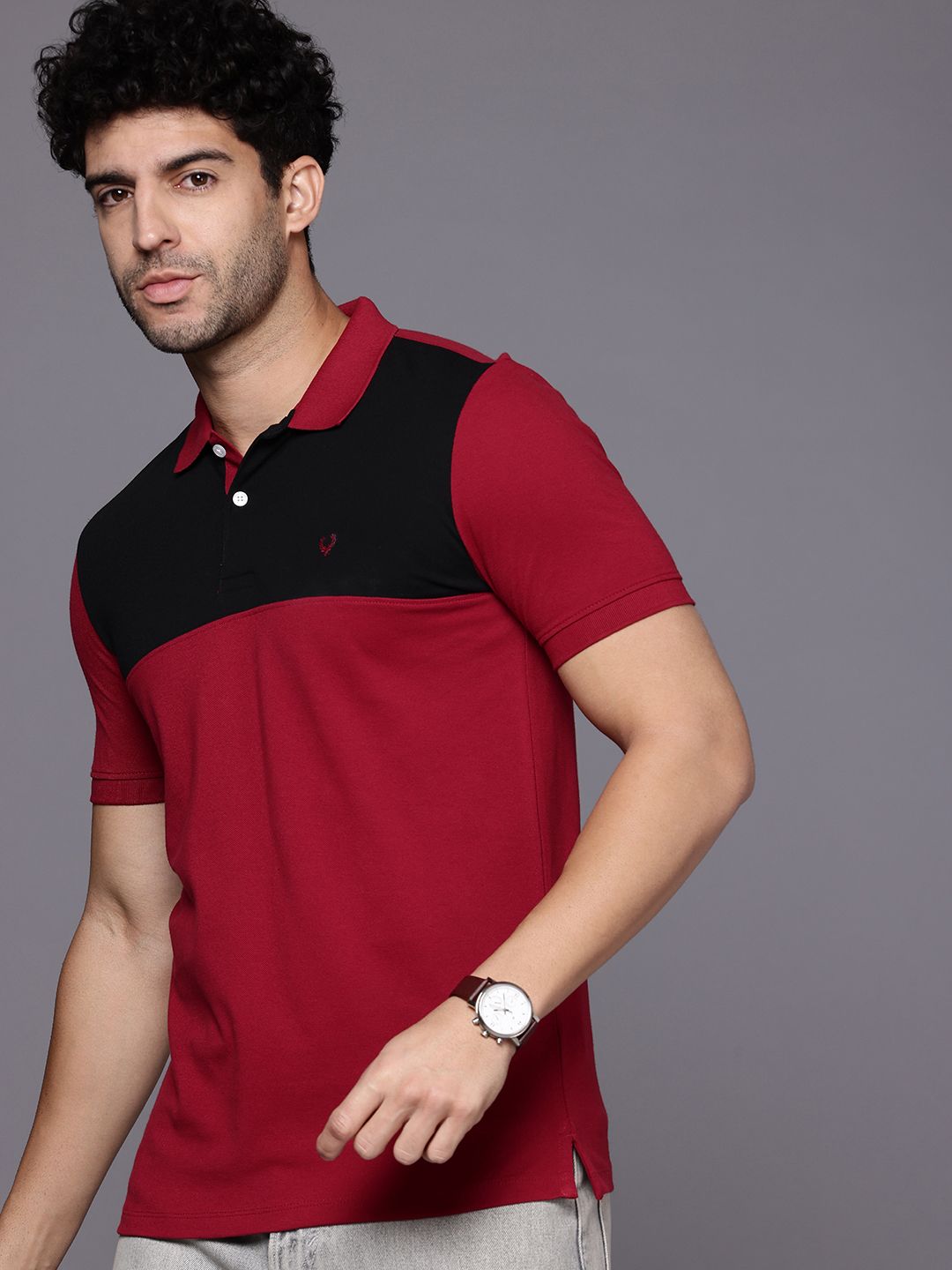 Allen Solly Colourblocked Polo Collar T-shirt
