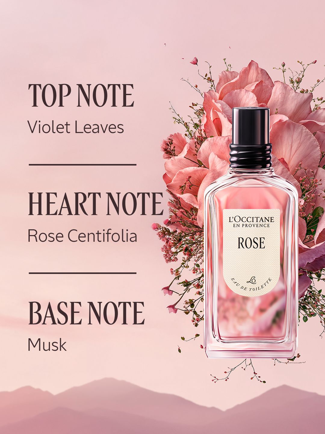 Buy LOccitane en Provence Rose Eau De Toilette - 75 ml - Perfume