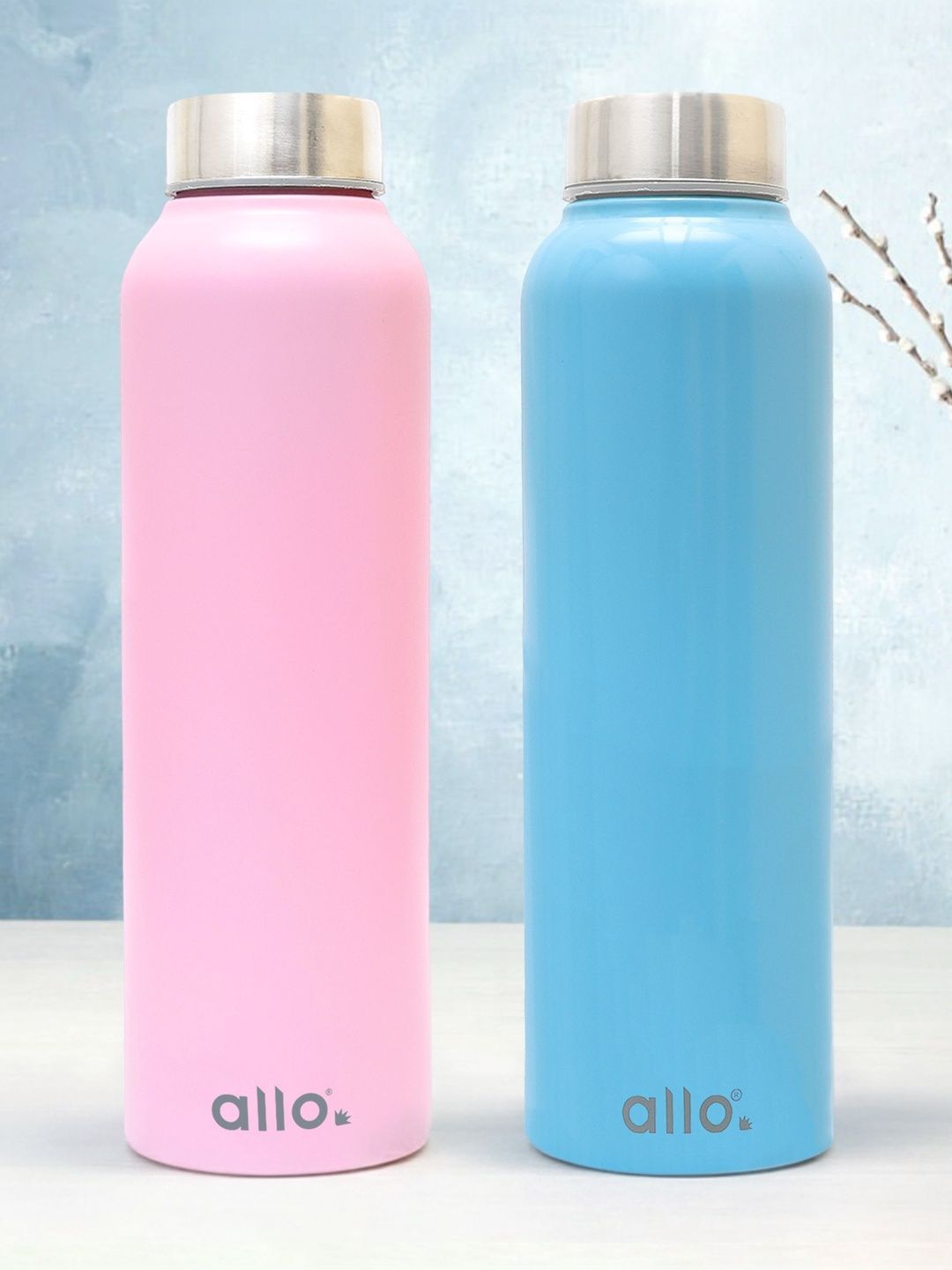 Allo Pink & Blue Set of 2 Stainless Steel Solid Water Bottle