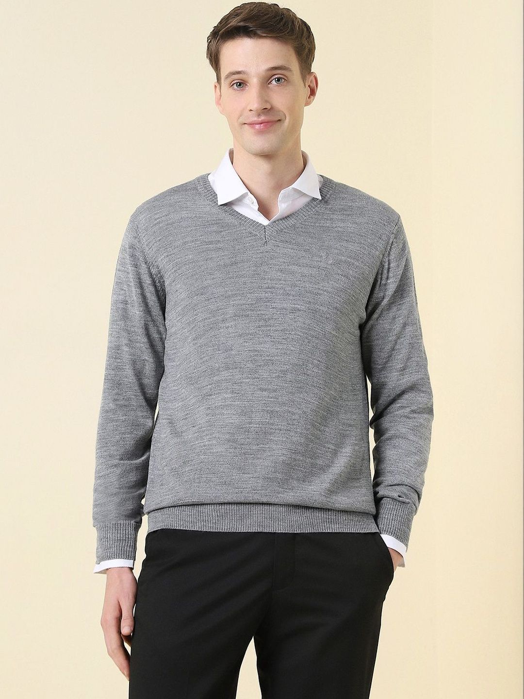 Allen Solly Men Pullover