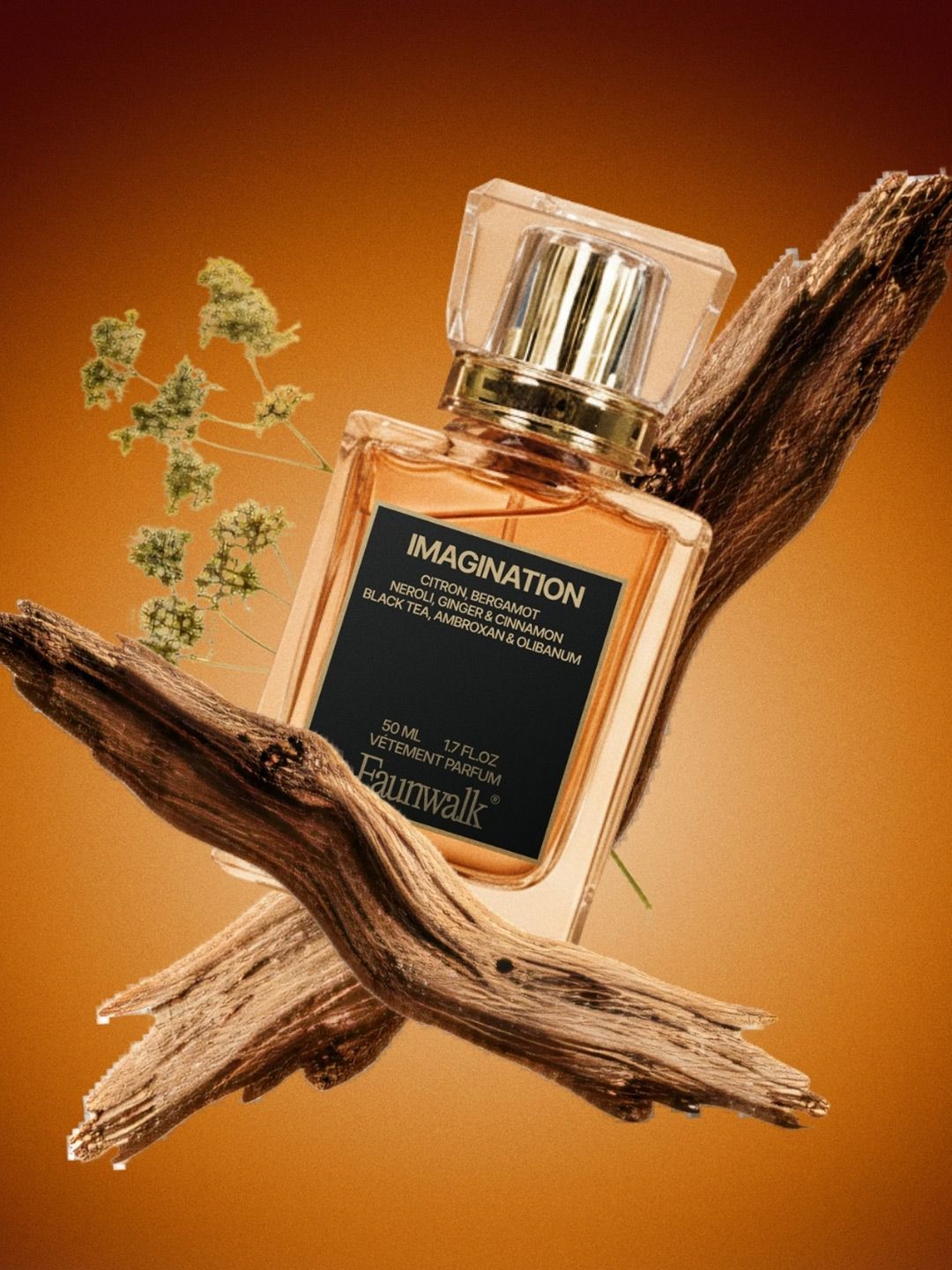 FAUN WALK Men Imagination Long Lasting Perfume - 50ml