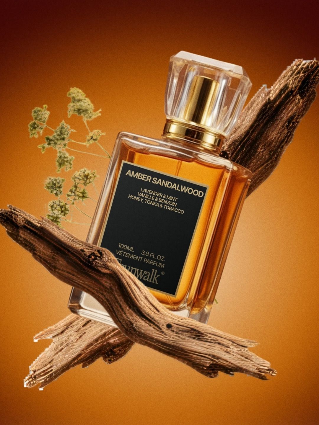 FAUN WALK Men Amber Sandalwood Long Lasting & Premium Eau de Parfum - 100 ml
