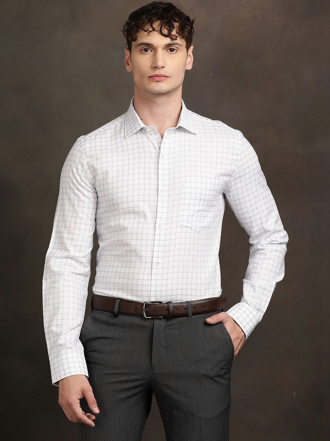 Turtle Men Standard Slim Fit Pinstripes Checked Formal Shirt