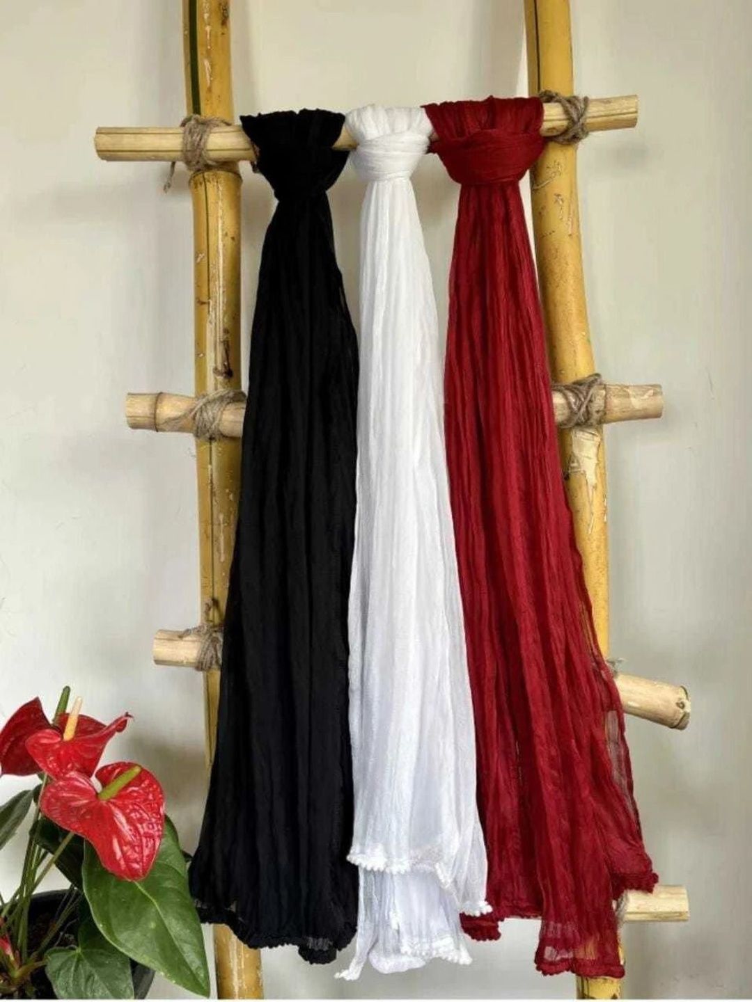 Kuhika Pack Of 3 Cotton Dupattas With Taping Border