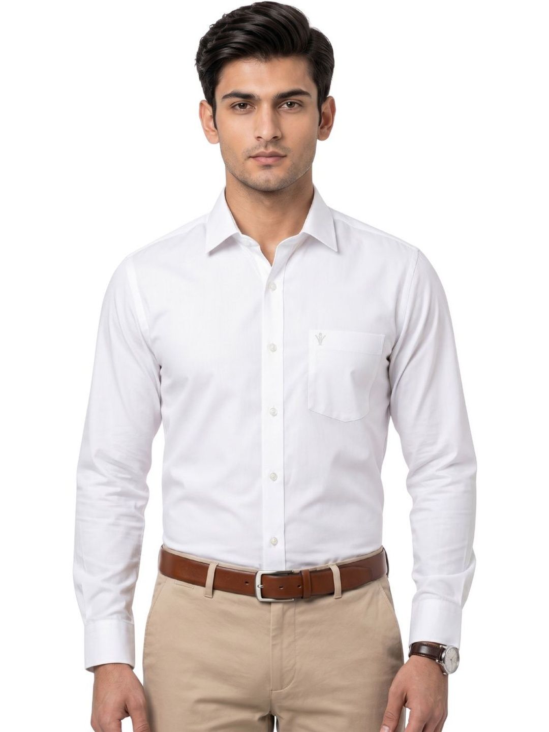 Ramraj Men Premium Formal Shirt