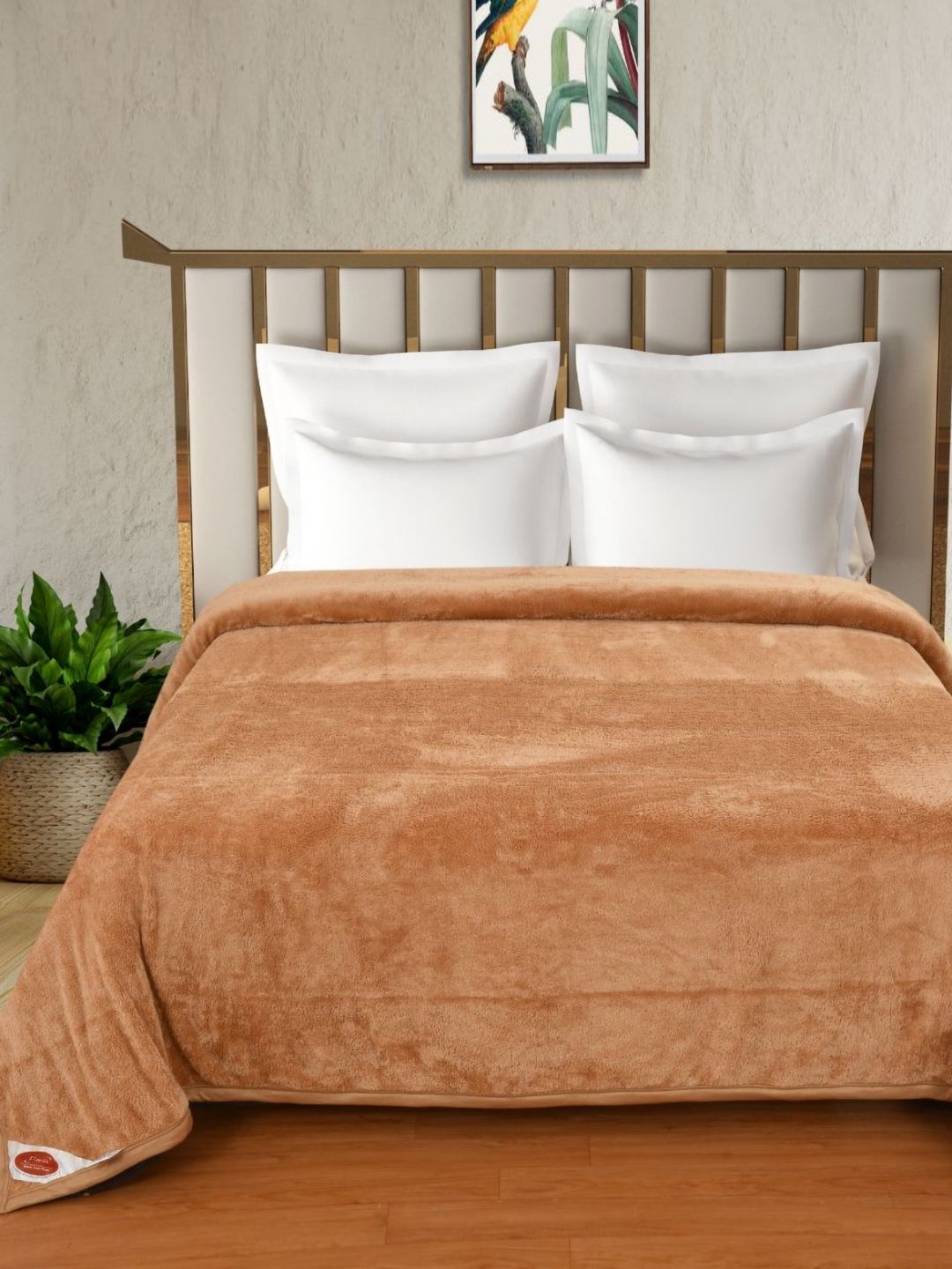 Florida Florida Brown & White 300 GSM Double Bed Blanket