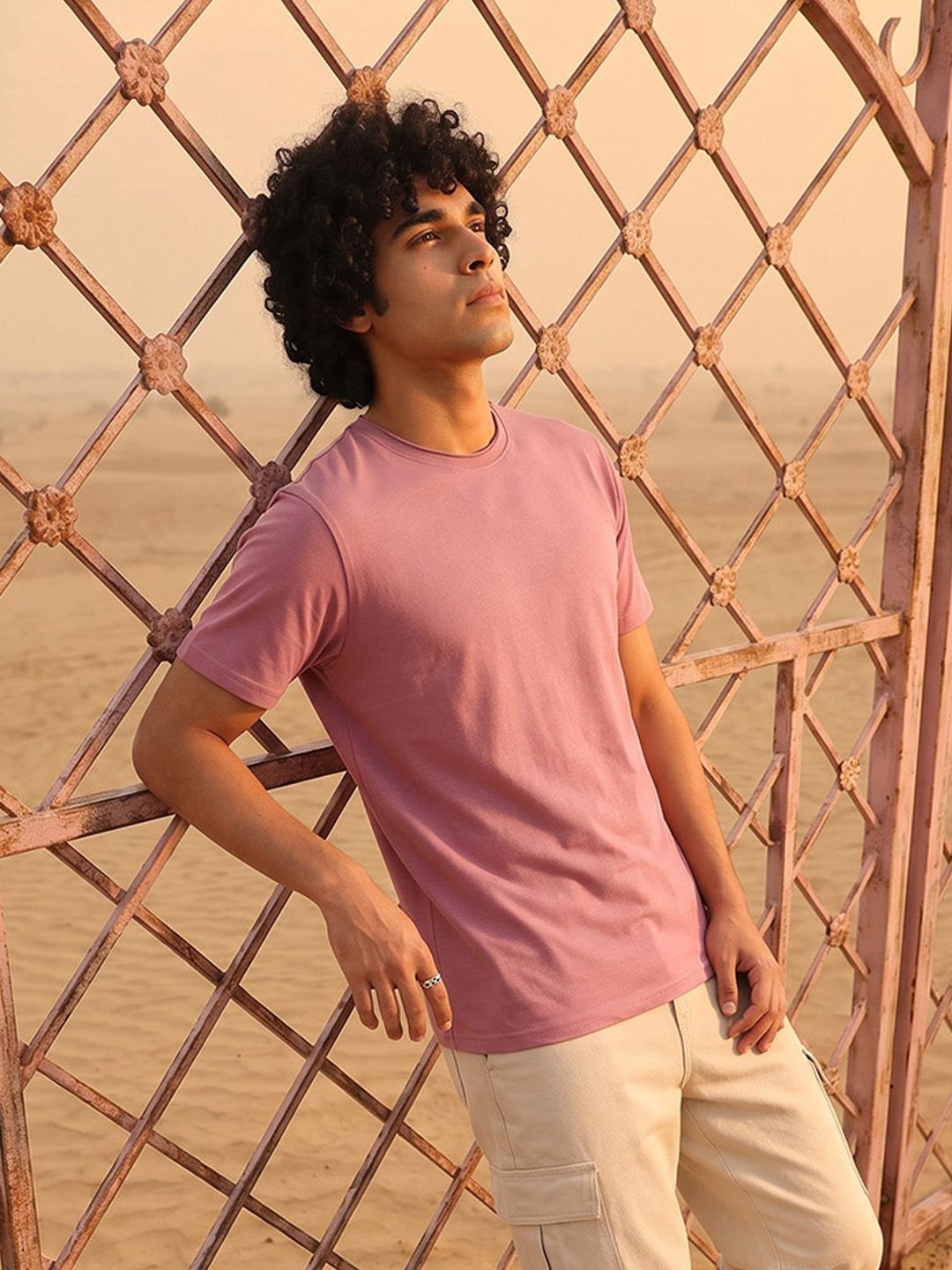The Roadster Life Co. Pure Cotton T-shirt