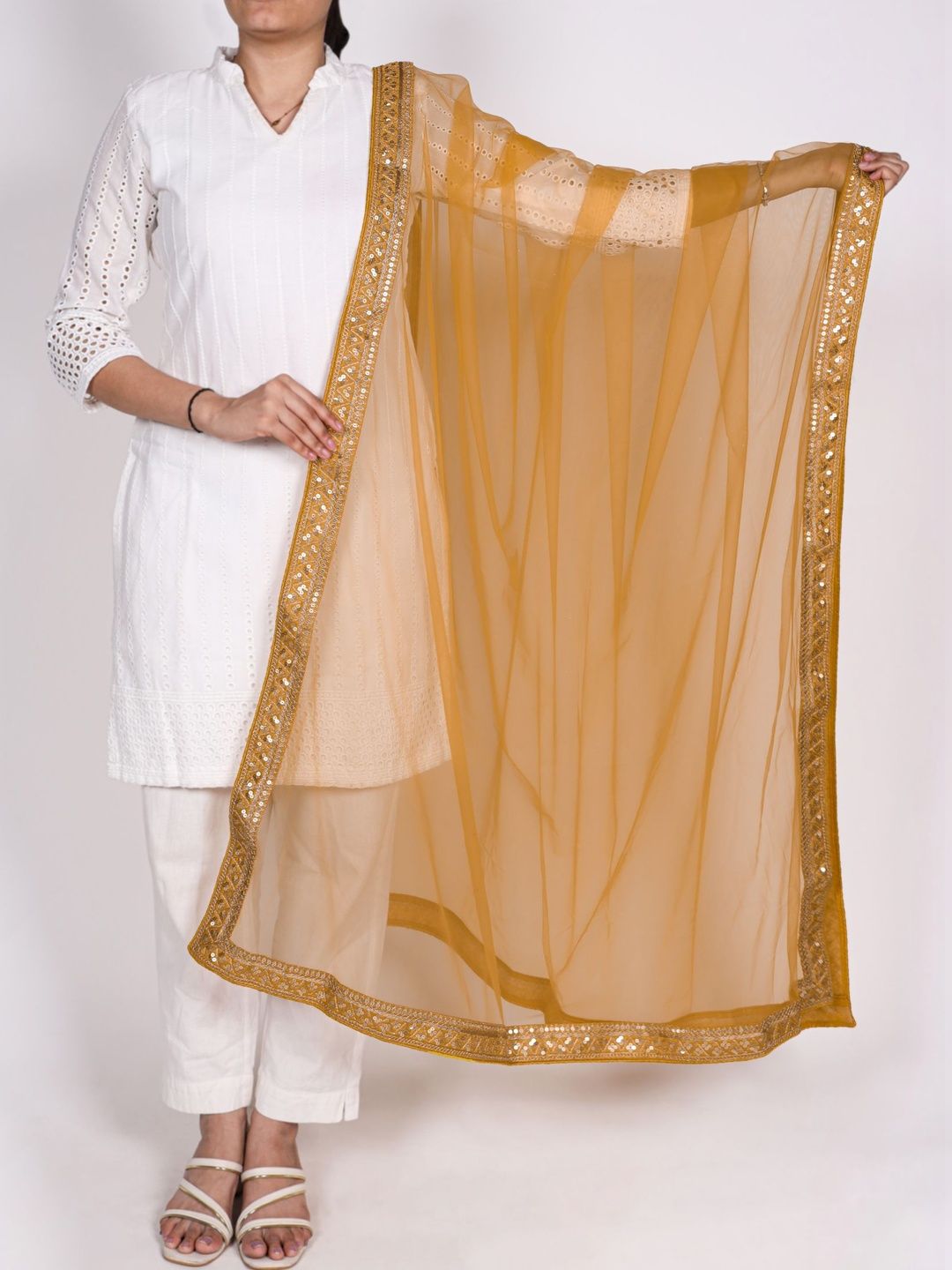 LOOKNBOOK ART Dupatta with Sequinned