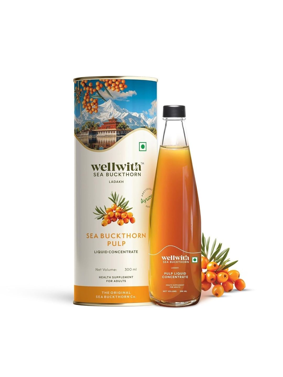 WELLWITH Seabuckthorn Pulp- 300 ml