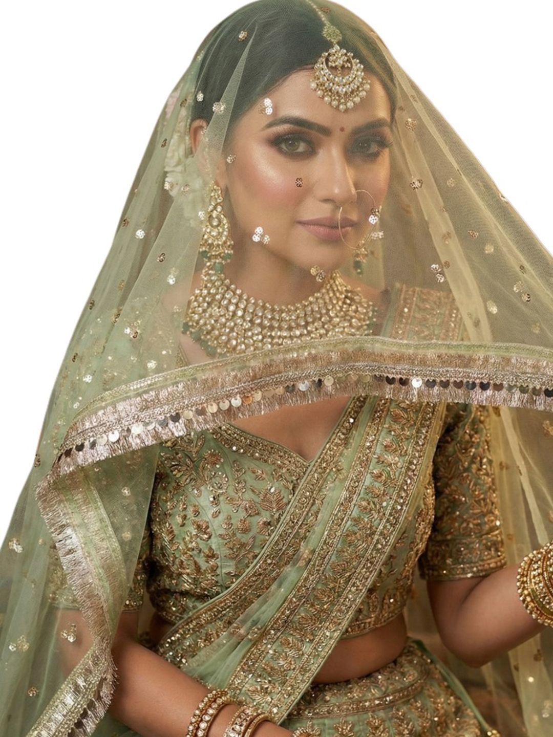 Navti Creations Embroidered Dupatta with Sequinned