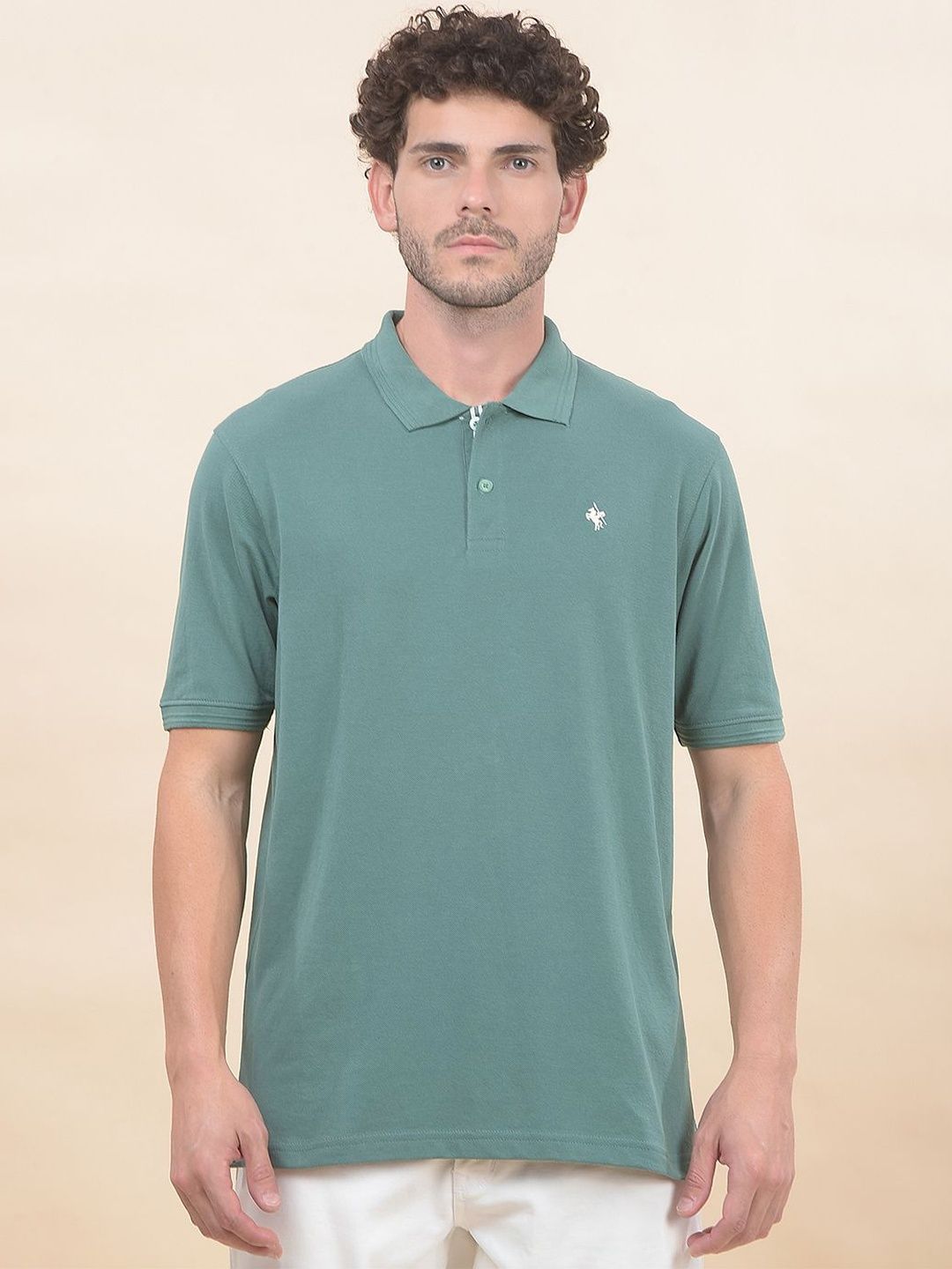 Cantabil Men Polo Collar T-shirt