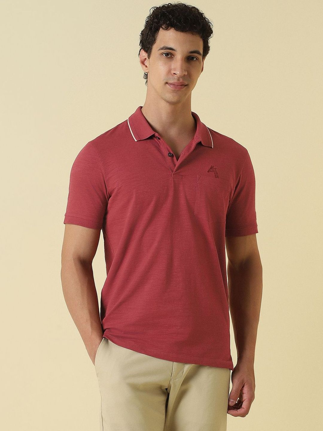 Allen Solly Men Polo Collar Pockets T-shirt