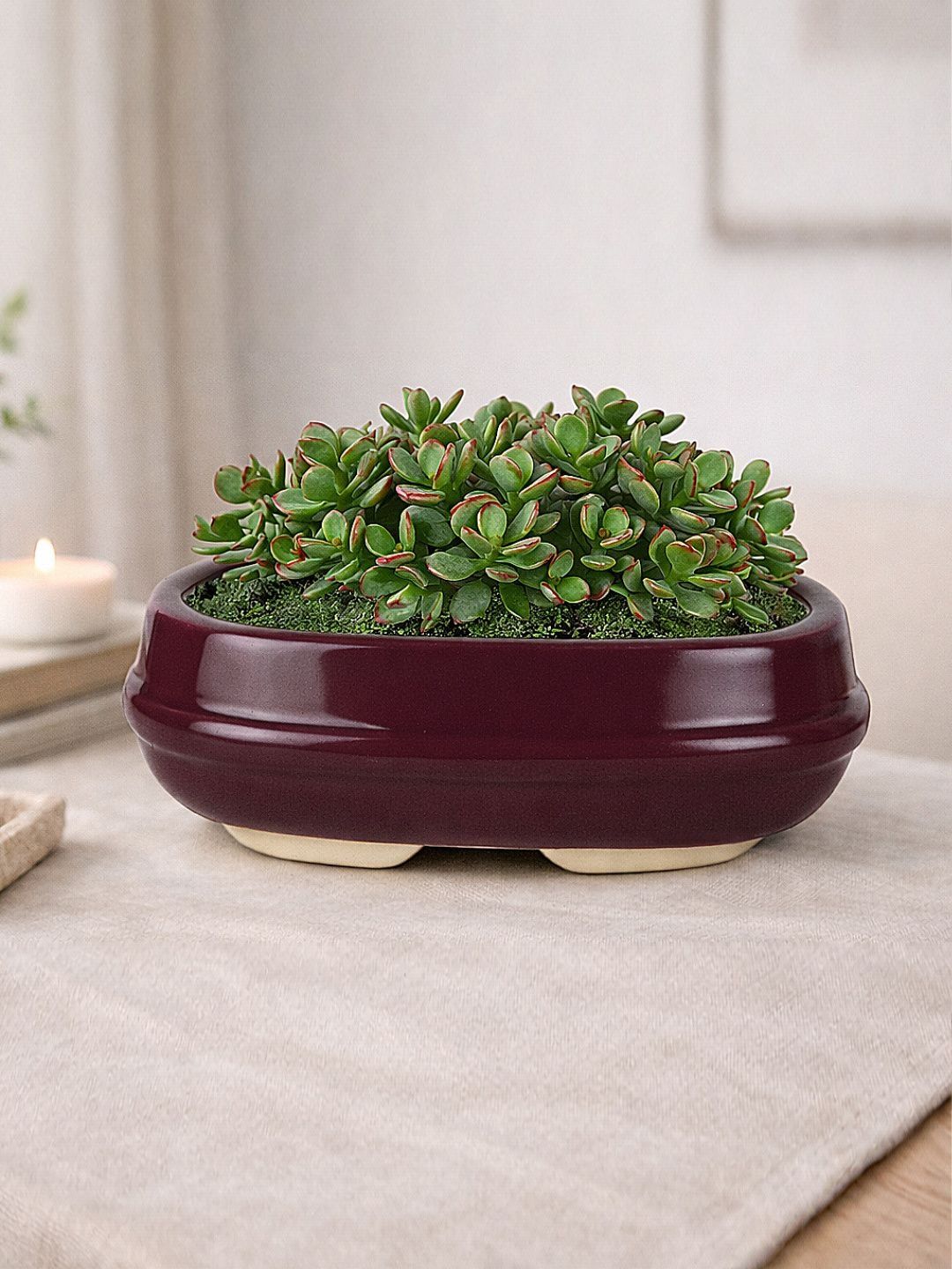 StyleMyWay Maroon Ceramic Planters
