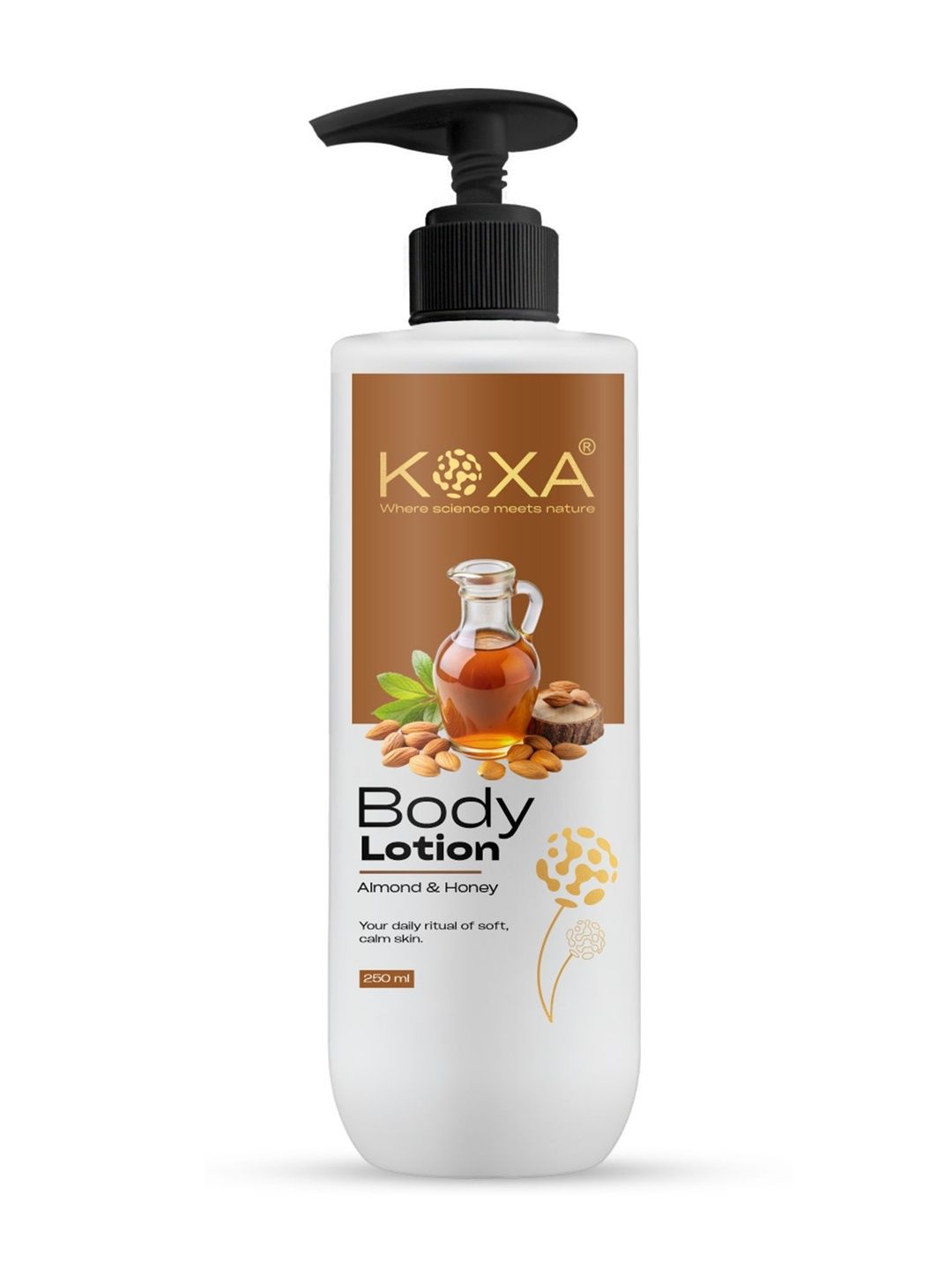 Buy KOXA Almond & Honey Body Lotion - 250 ml - Body Cream and