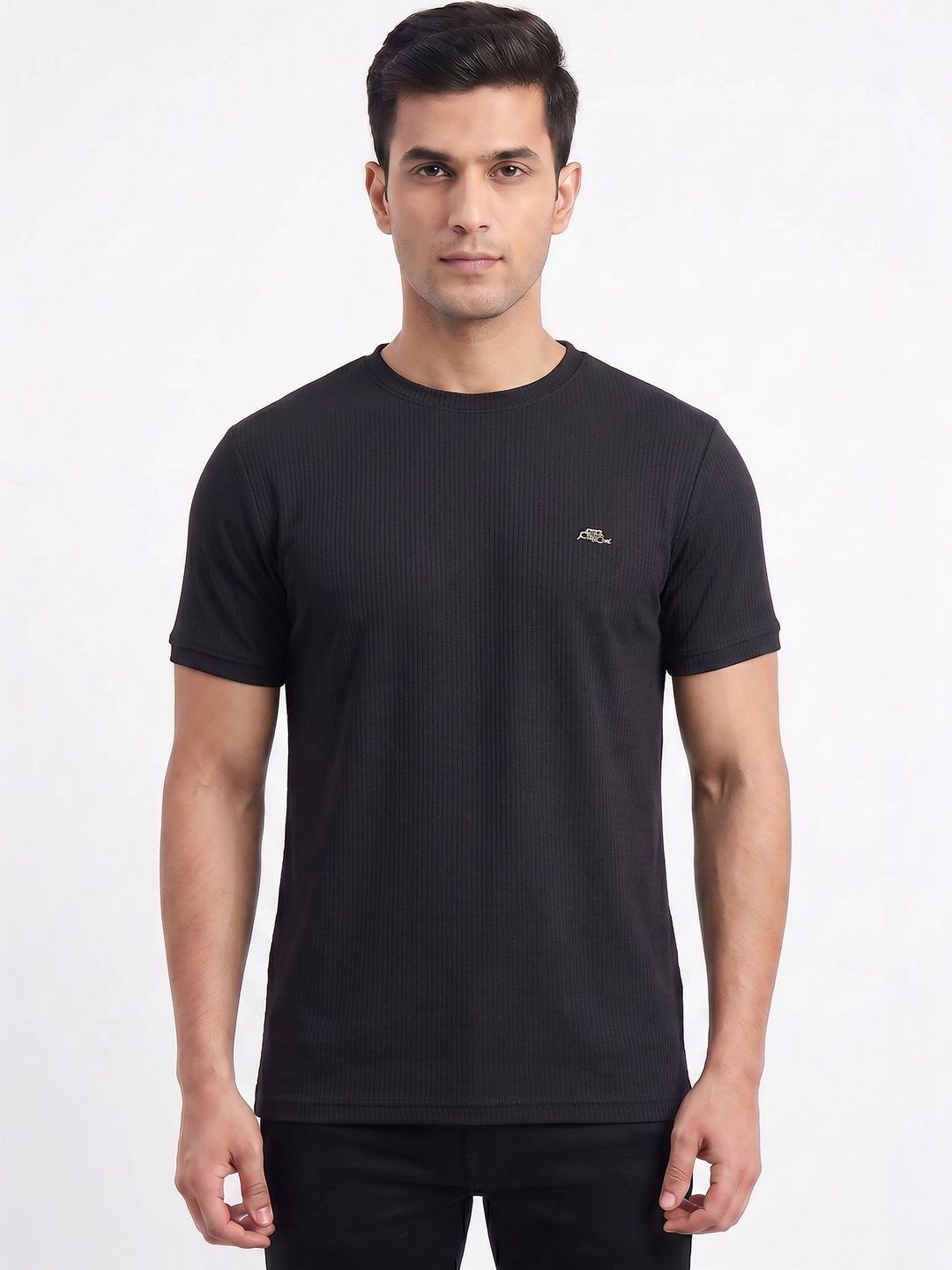Plugin Men's Black Round Neck Regular Fit T-shirt