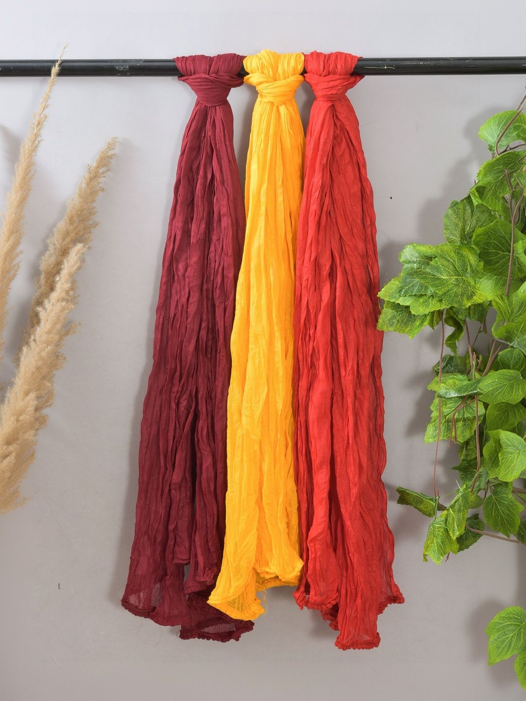 Kuhika Pack Of 3 Dupatta