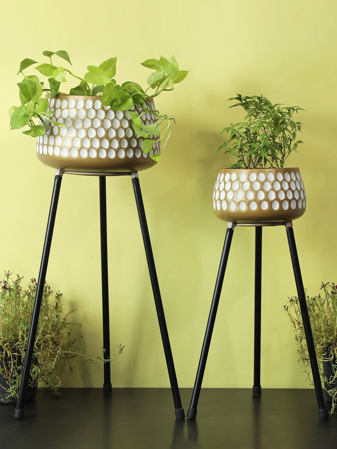 AWAAS DECOR Set Of 2 Gold-Toned & White Solid  Planter With Stand Price in India