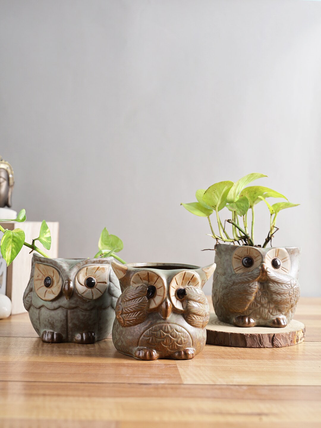 TAYHAA Set of 3 Green Owl Design Ceramic Pot Planters Price in India