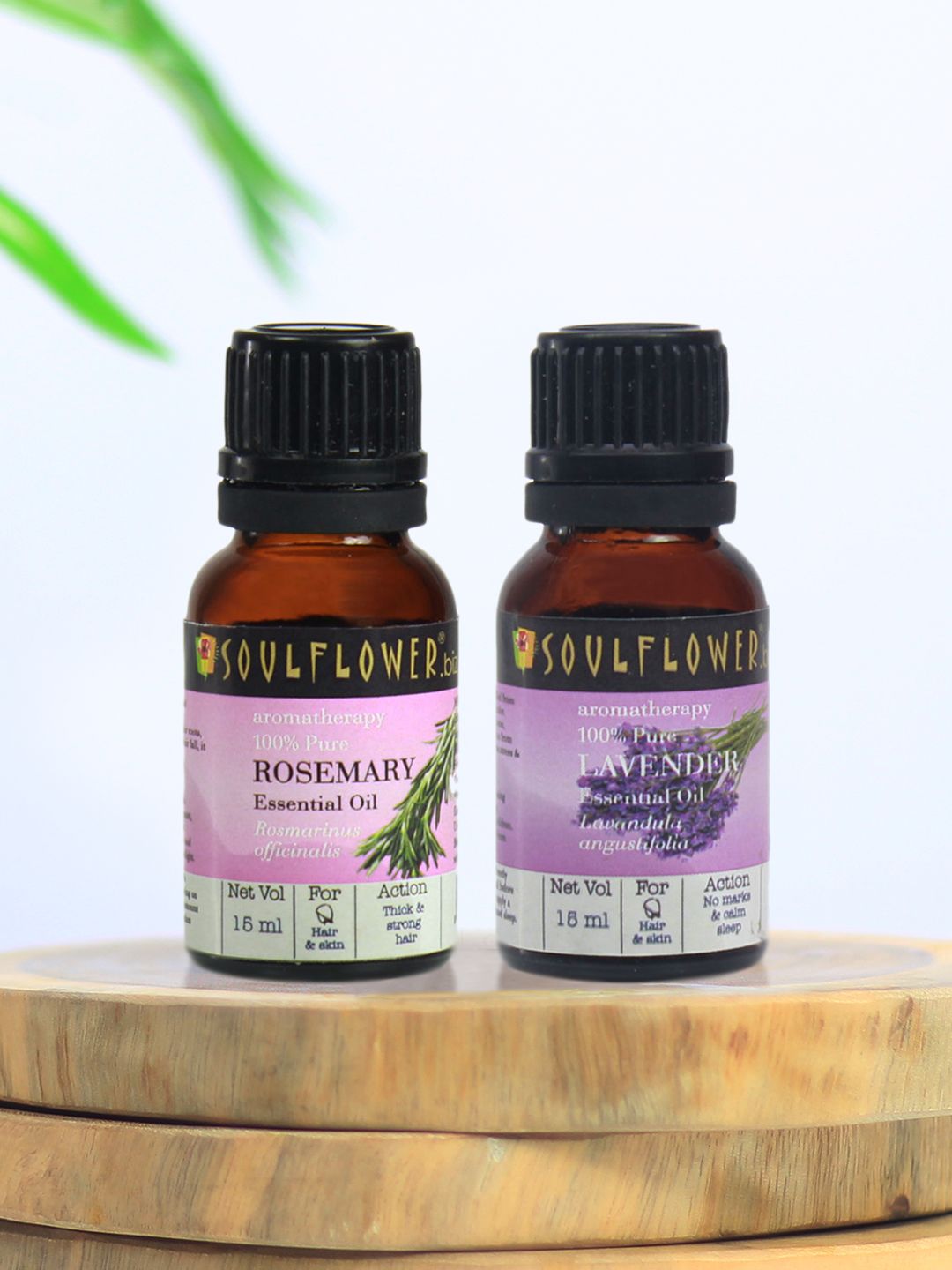 Soulflower Set of 2 Rosemary & Lavender Essential Oil For Skin Hair & Diffusion 15 ml Each Price in India