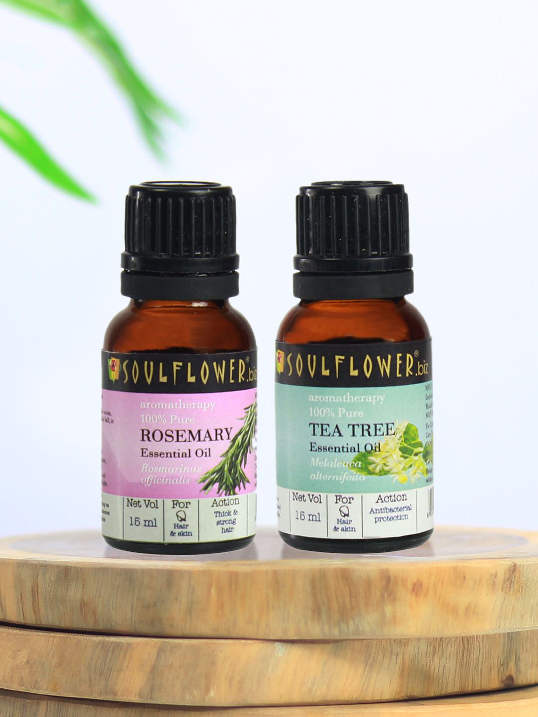 Soulflower Pack of 2 Rosemary & Tea Tree Essential Oil For Skin Hair Diffusion 15 ml Each Price in India