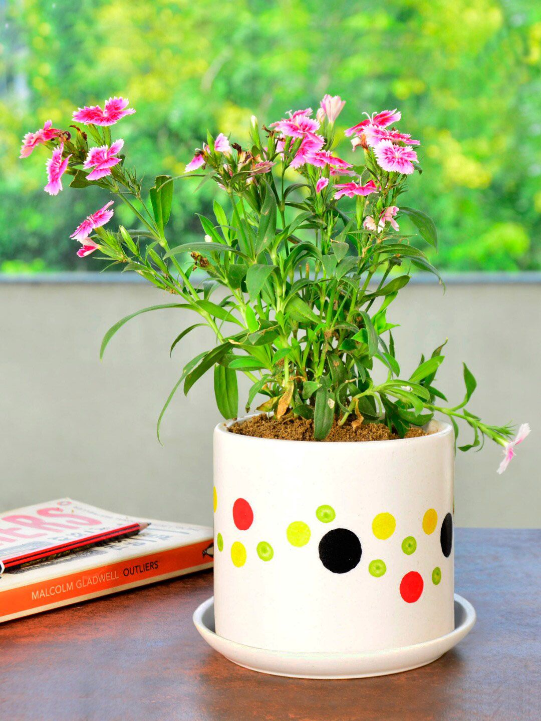 StyleMyWay White & Red Printed Planter Pot With Tray