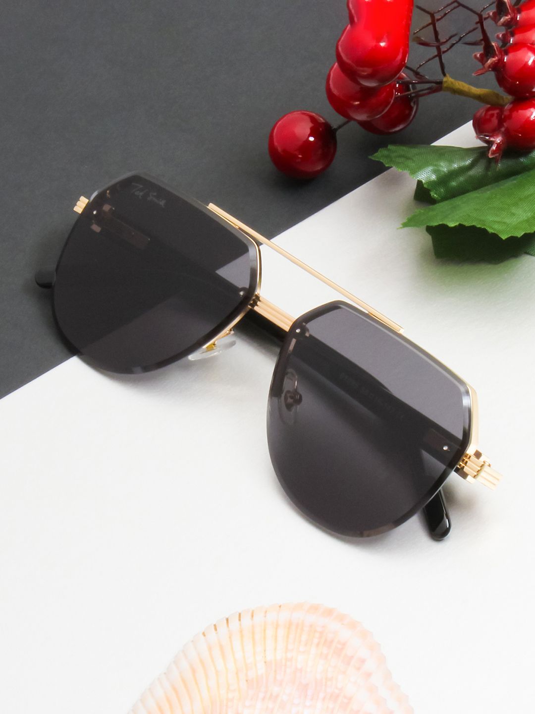 Ted Smith Aviator Sunglasses with Polarised and UV Protected Lens GENRAL2_C2