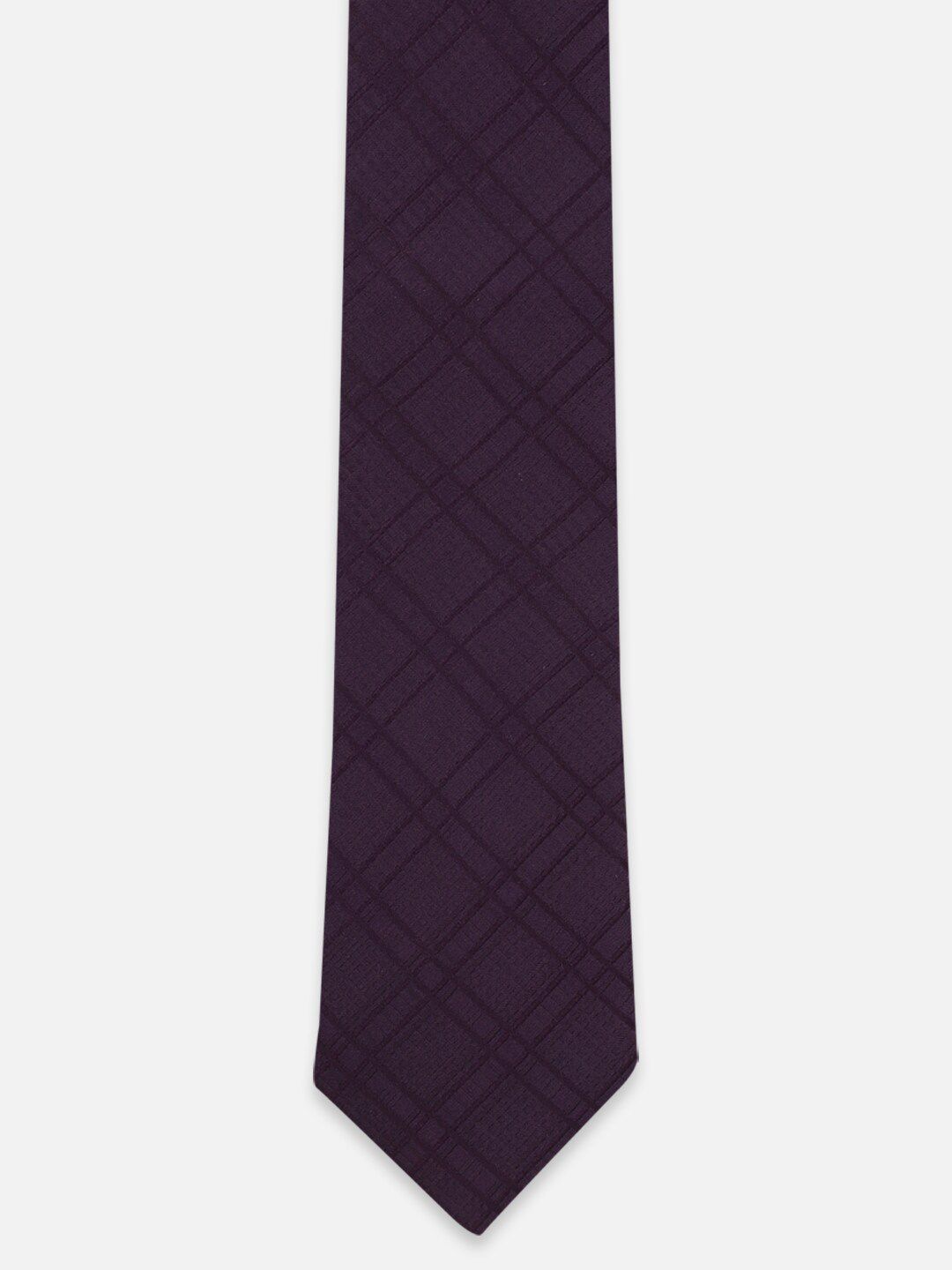 Peter England Men Checked Broad Tie