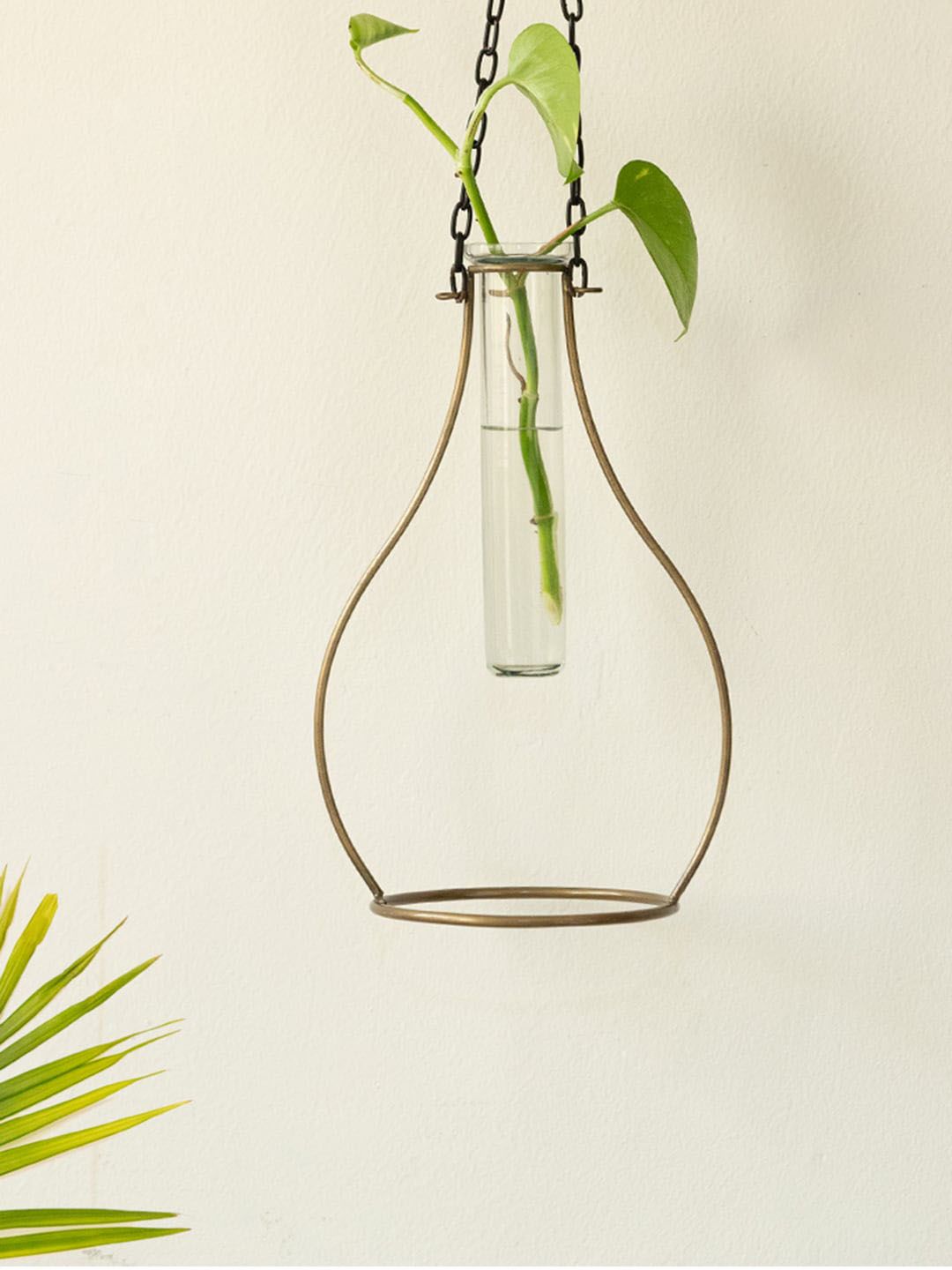 ExclusiveLane Modern Glass Garden Transparent Glass Test Tube Planter With Hanging Holder