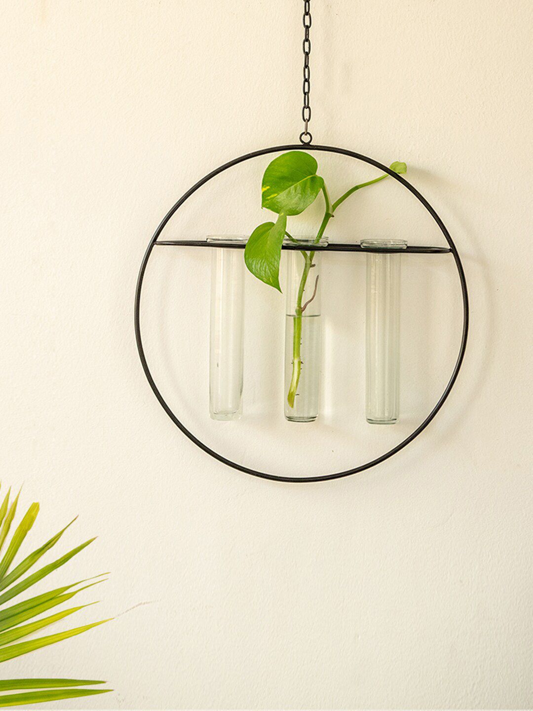 ExclusiveLane Modern Glass Garden Transparent Glass 3 Test Tube Planter & Hanging Holder