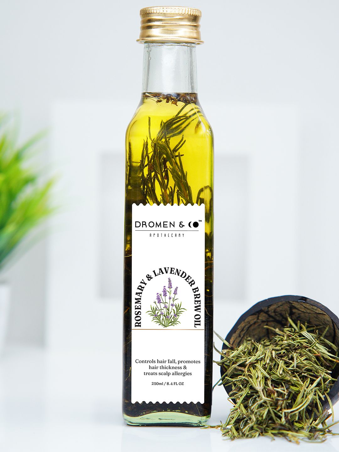 DROMEN & CO Rosemary & Lavender Brew Oil for Hair Growth & Hair Fall Control - 250ml