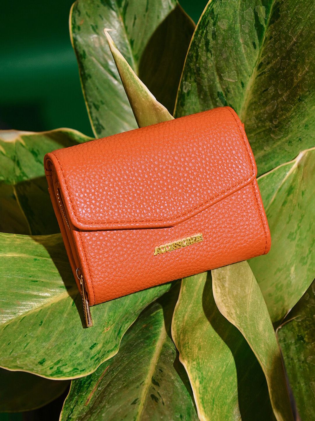 小物 ex Buy Accessorize Faux Leather Small Flap Zip Around Purse - Wallets