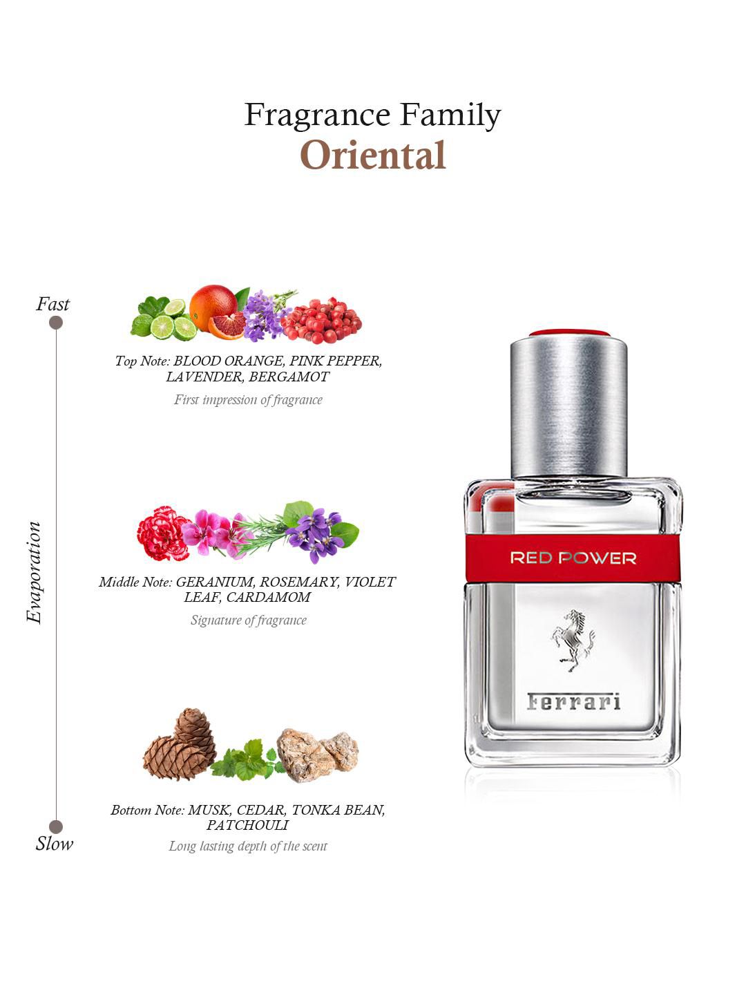 Buy Ferrari Men Red Power EDT 40 ml - Perfume for Men 2410505 | Myntra