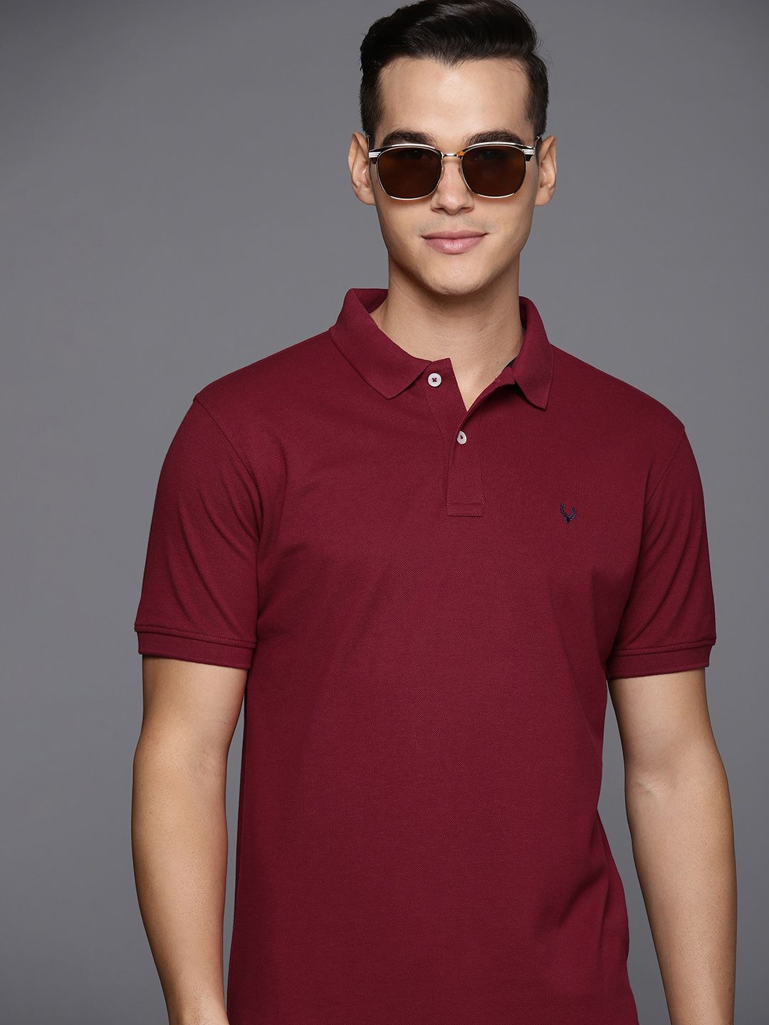 Allen Solly Polo Collar T-shirt