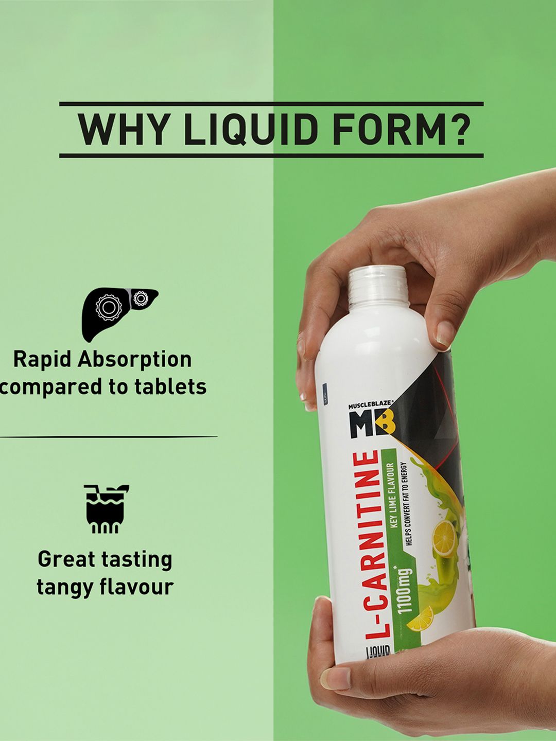 l carnitine converts fat into energy L-Carnitine