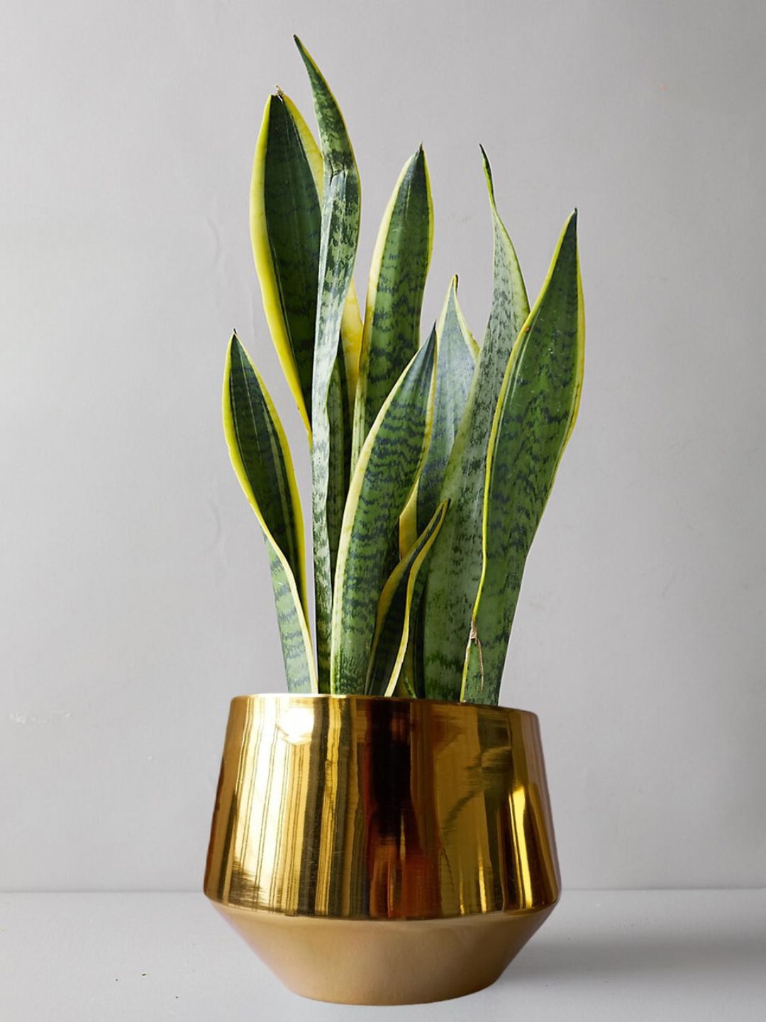 ecofynd Gold Toned Alice Metal Planter