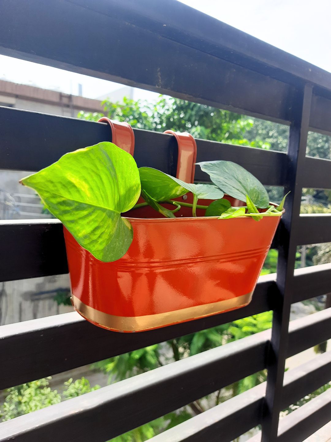 ecofynd Railing Planter Orange Metal Oval Balcony Hanging Planter