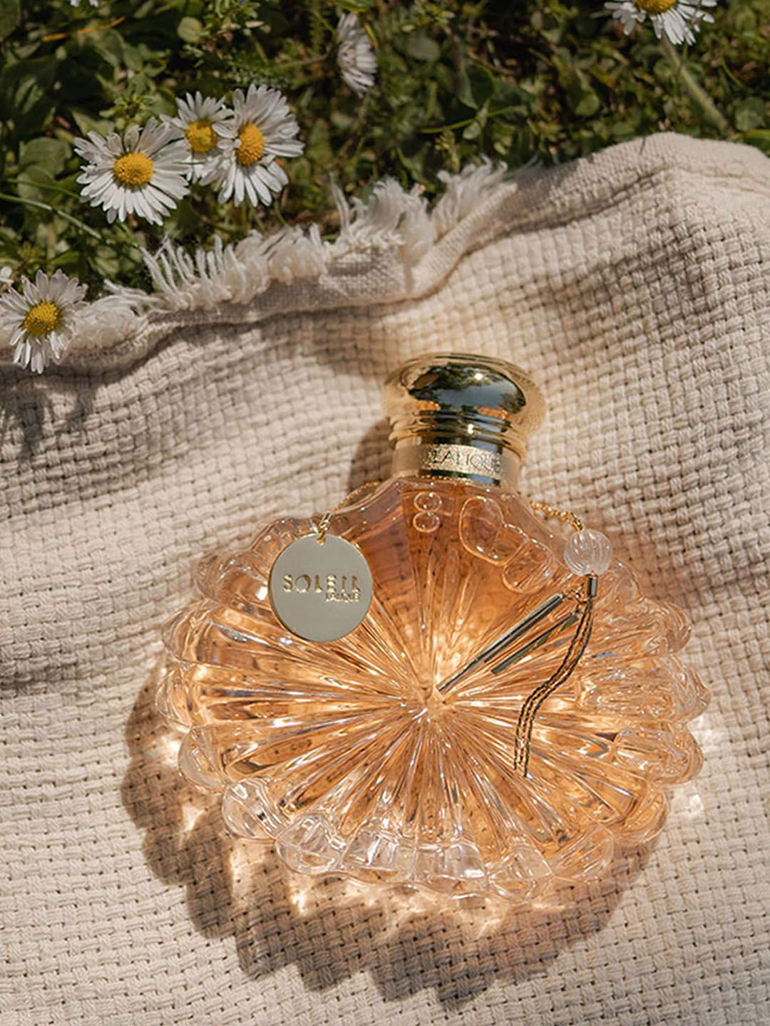 香水(女性用) Lalique Soleil Eau de Parfum 30ml Buy Lalique Soleil Women Eau de Parfum Vapourisatuer Natural Spray