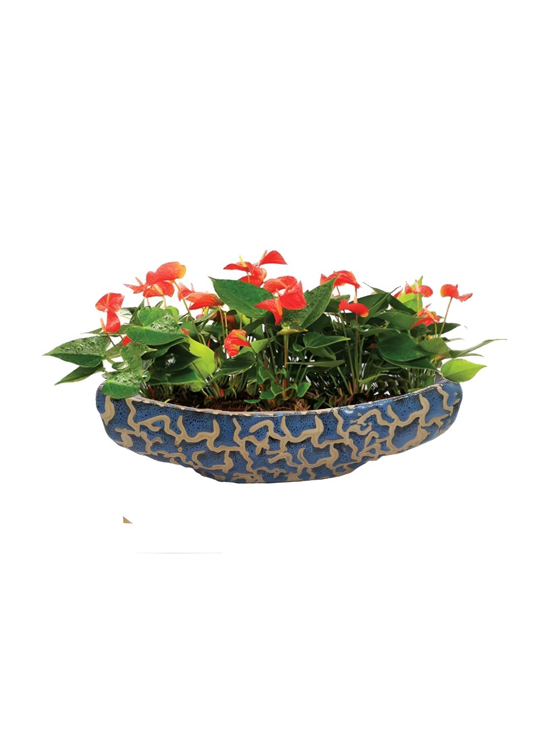 INDIA MEETS INDIA Blue Ceramic Boat Shaped Planter