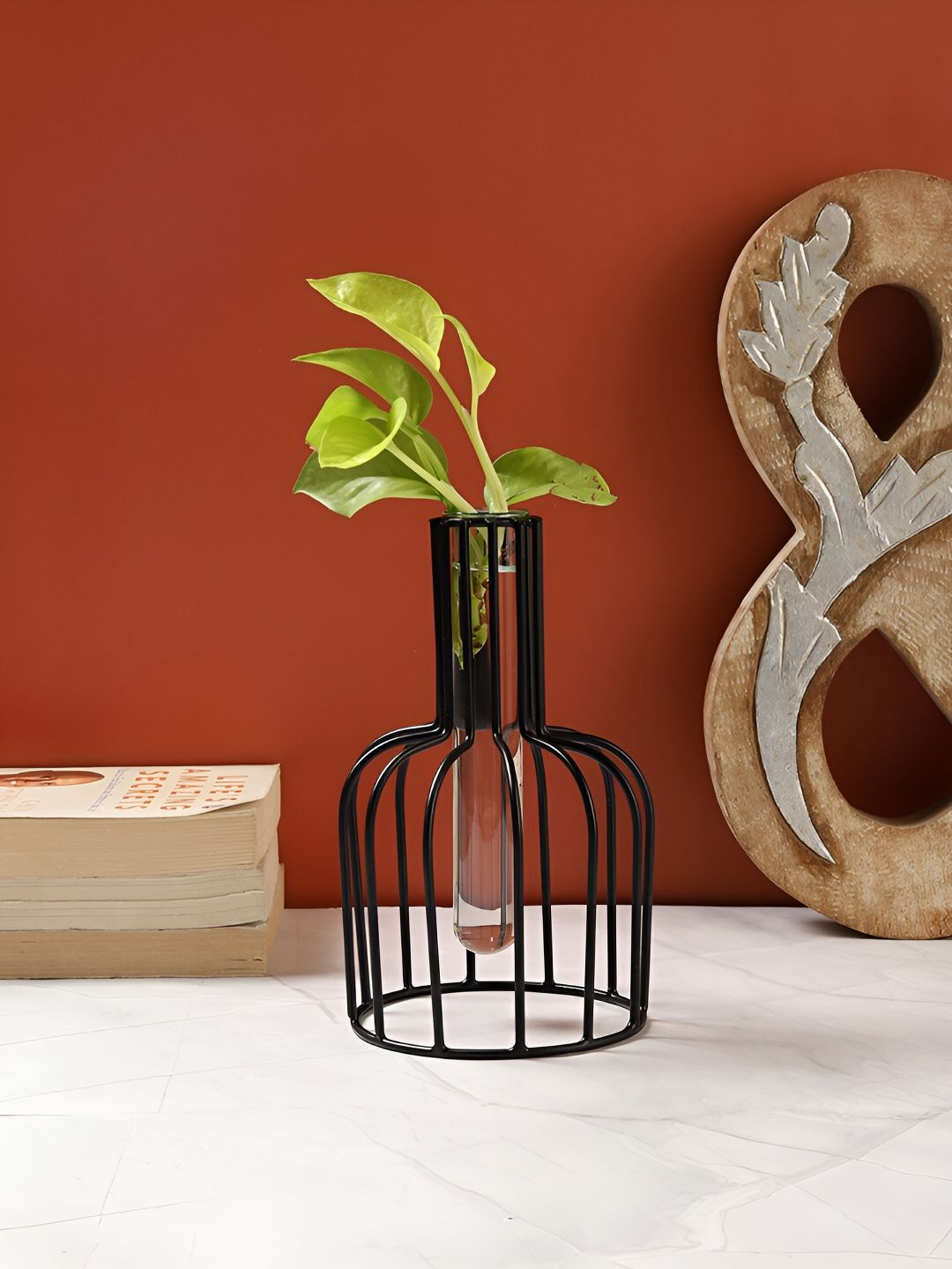 VarEesha Black & Transparent Bottle Shaped Metal Planter With Tube