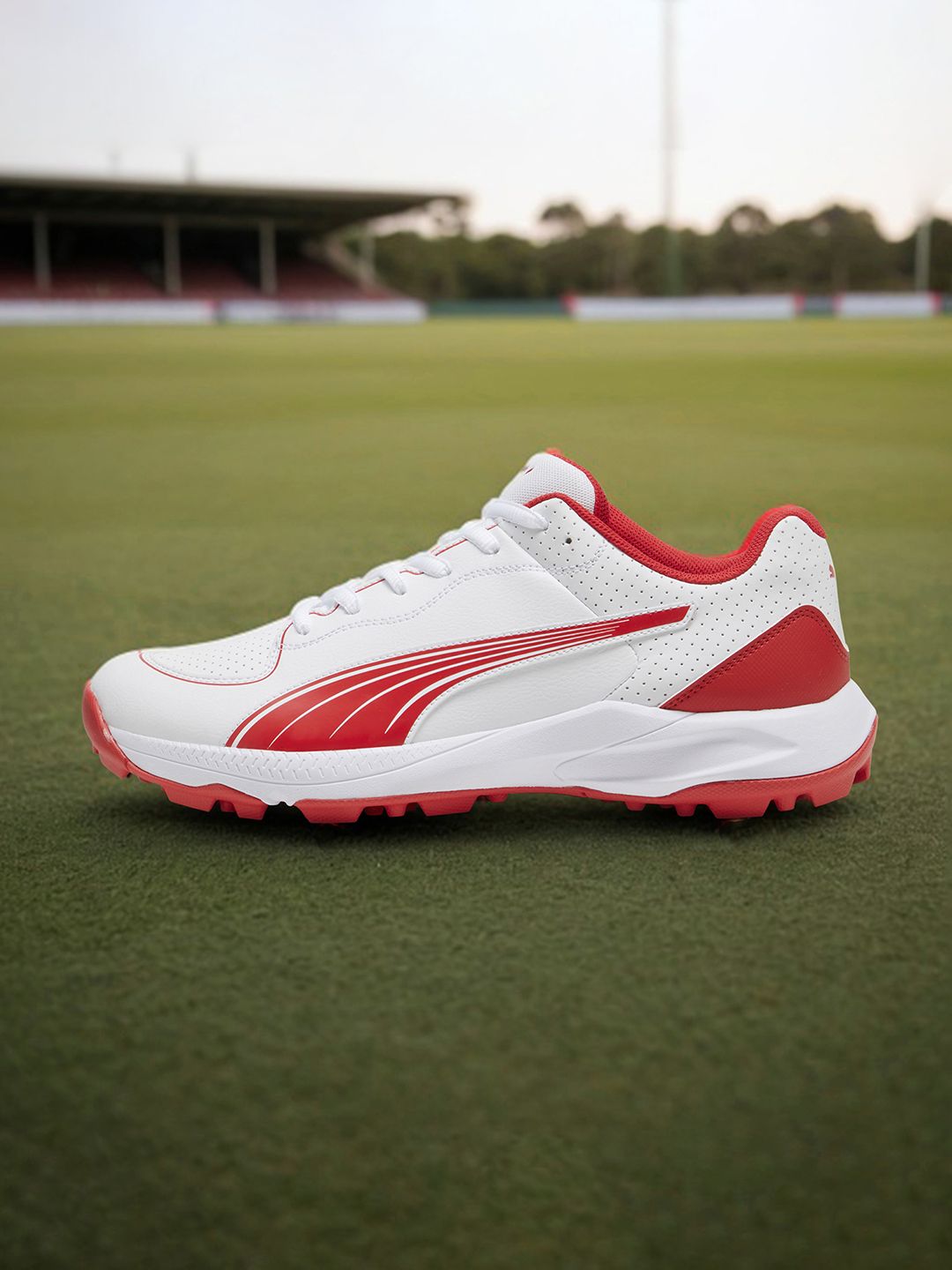 Puma Puma Unisex 24 FH Rubber Cricket Shoes