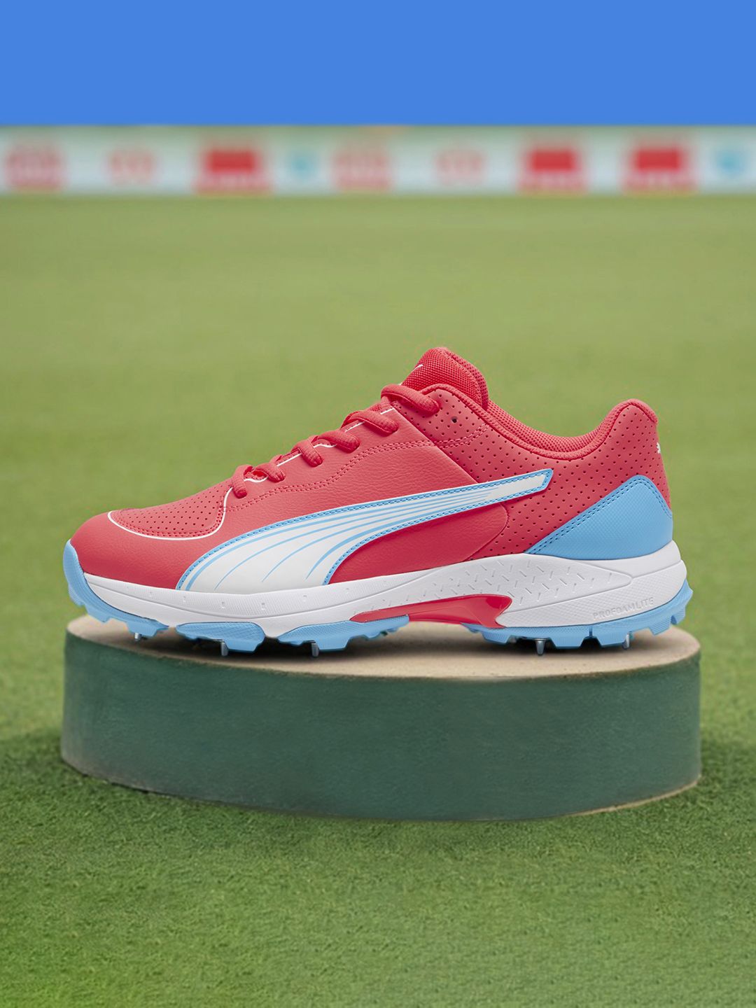 Puma Unisex Spike 24.2 Cricket Shoes