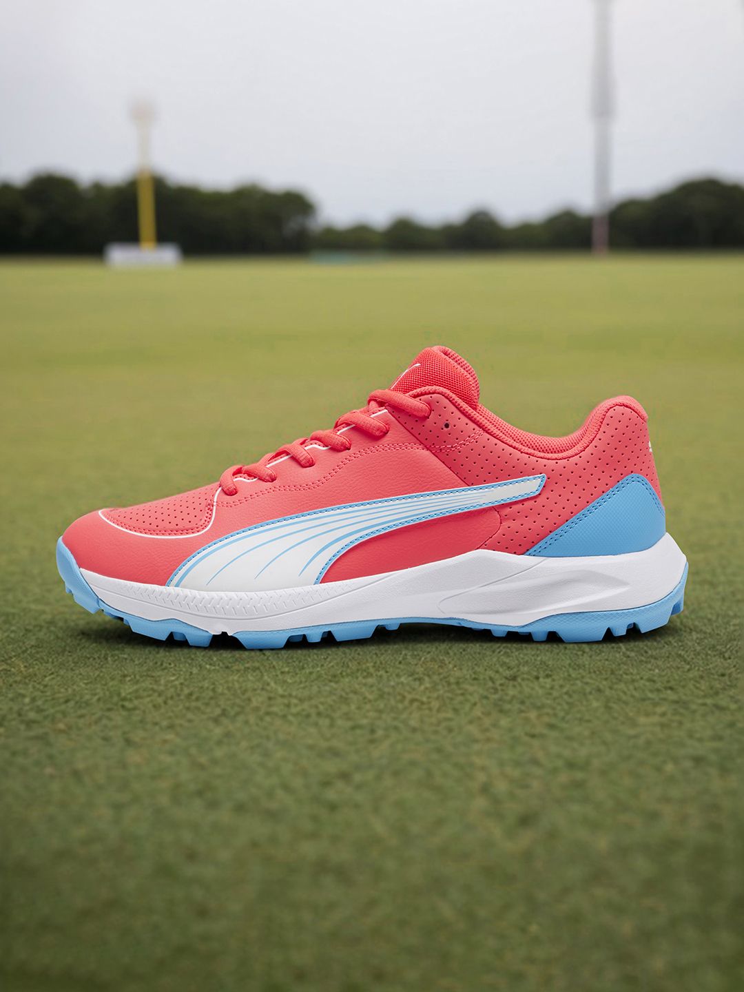 Puma Unisex 24 FH Rubber Cricket Shoes