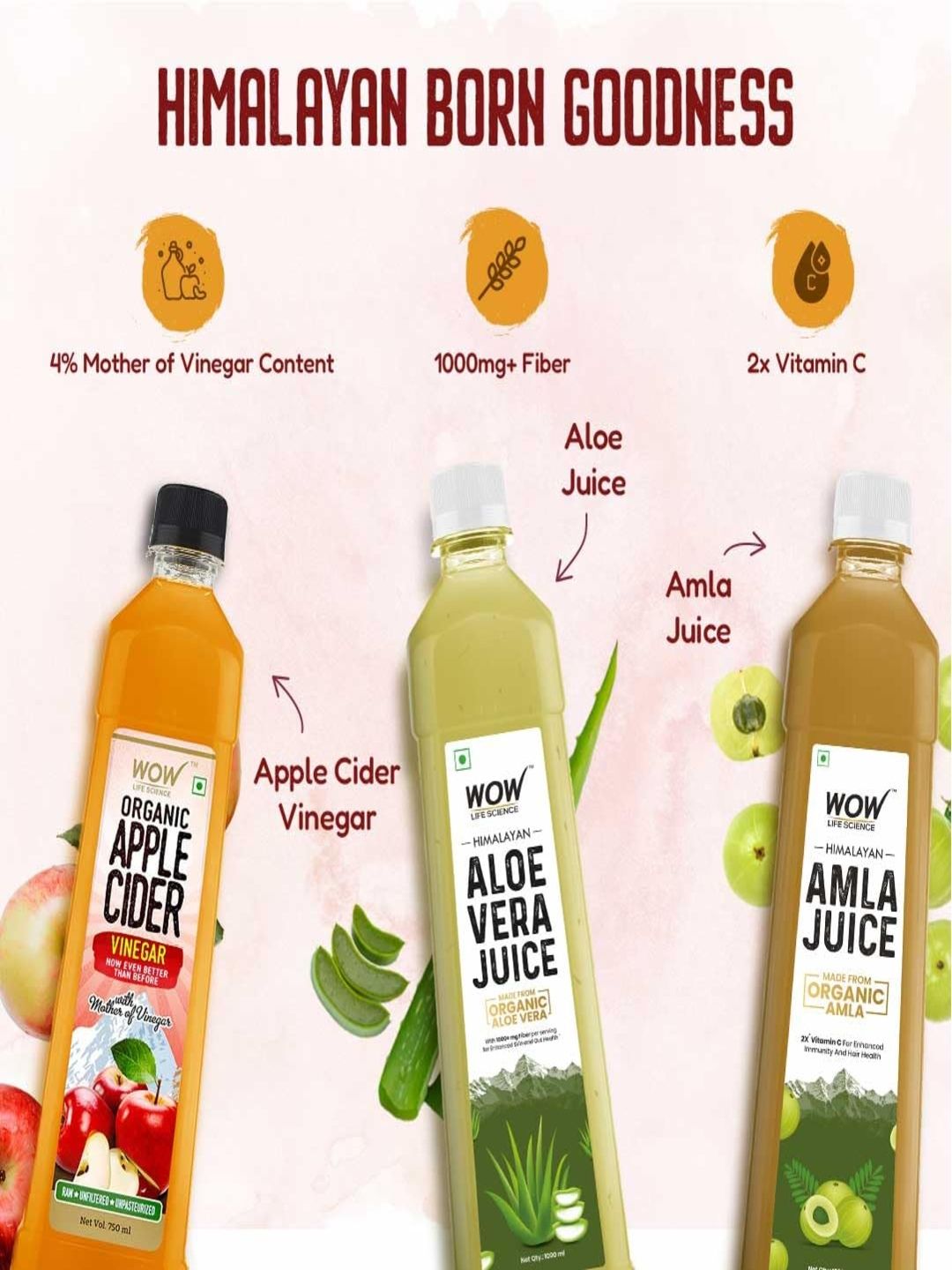 Buy WOW Life Science Himalayan Aloe Vera Juice 1L & Organic Apple Cider  Vinegar 750ml - Herbal Supplements for Unisex 27925994 | Myntra