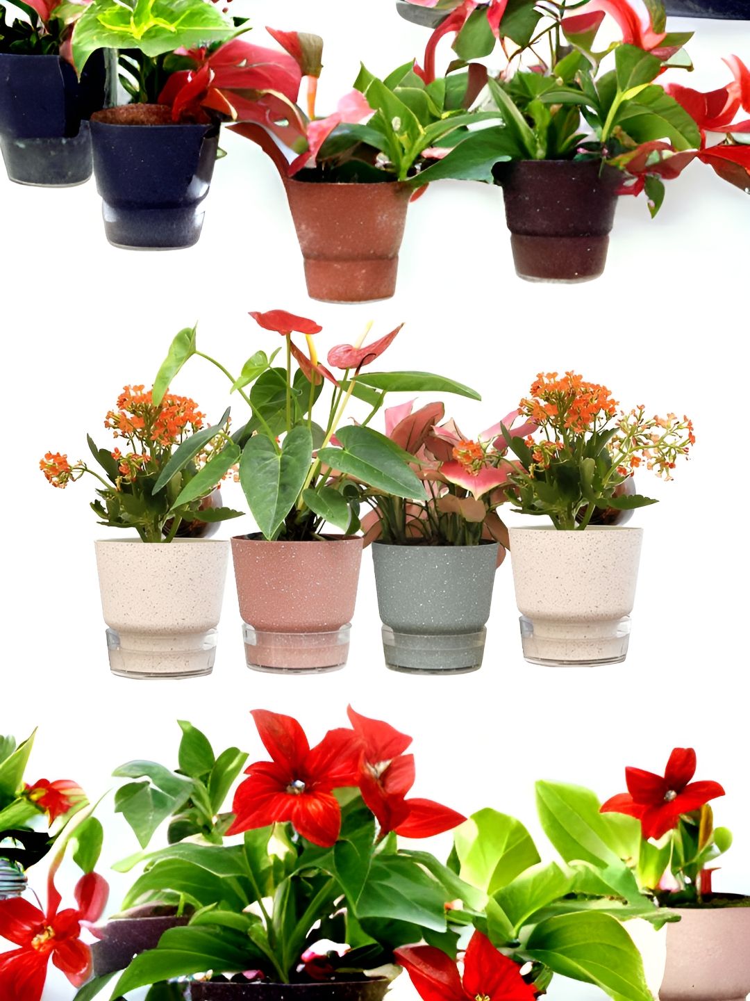 UMAI Grey & Pink 4 Pieces Self Watering Planters