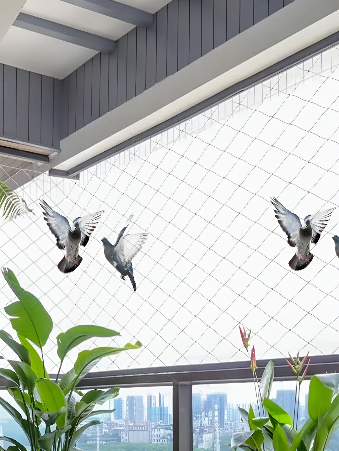 Buy Kuber Industries White Child Protection Bird Net - Garden