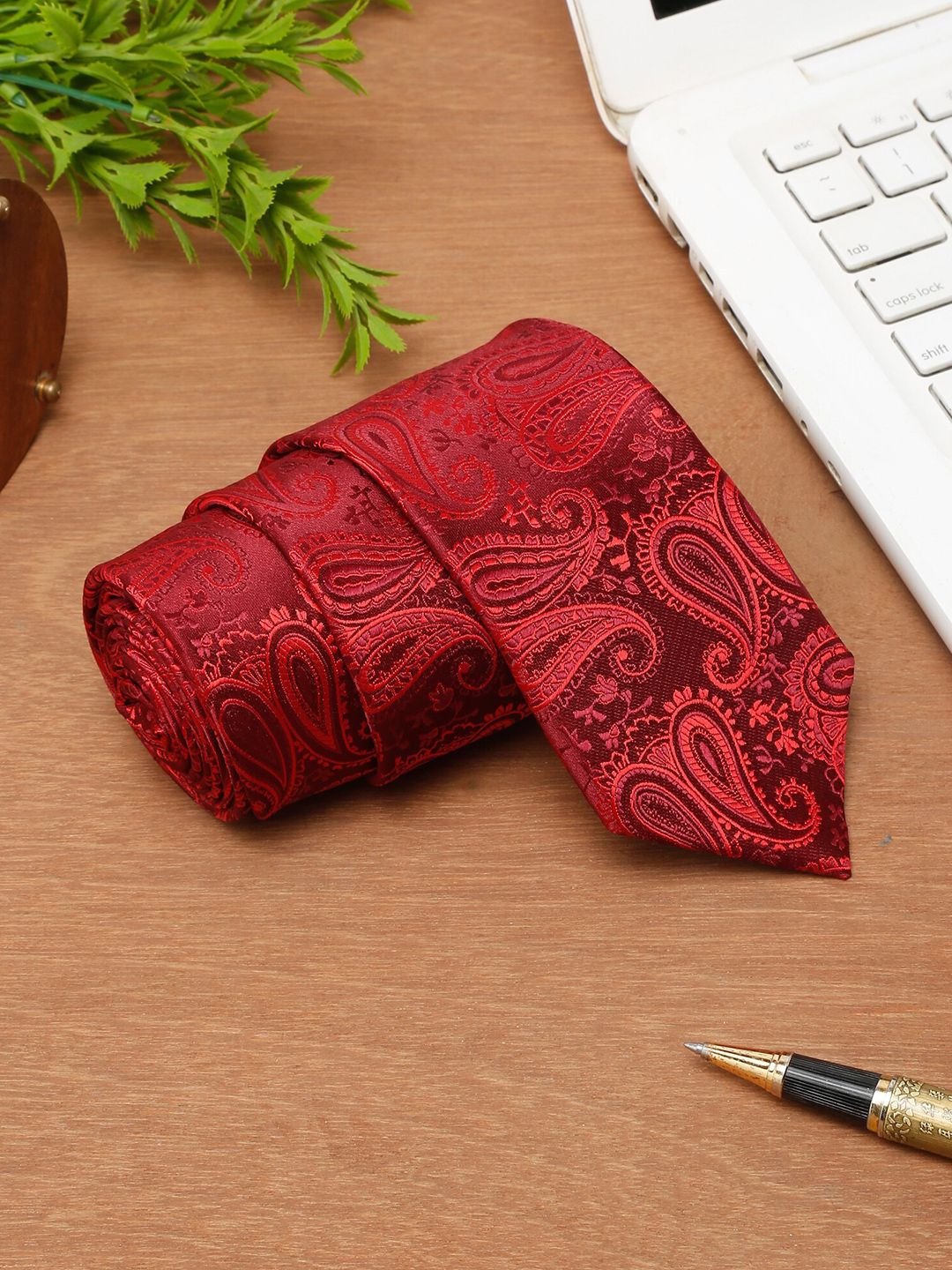 Cantabil Men Printed Broad Tie