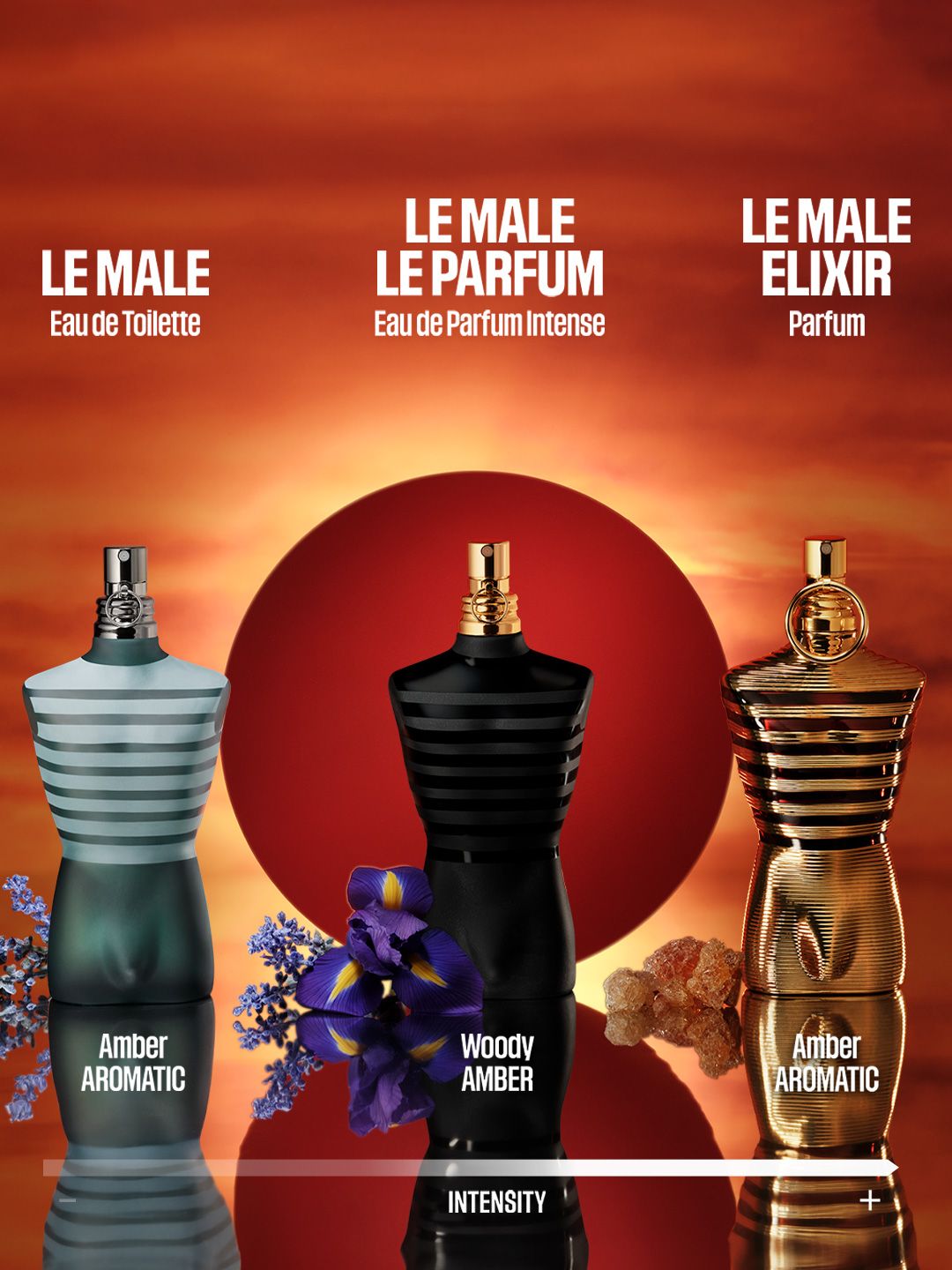 Buy Jean Paul Gaultier Le Male Elixir Parfum - 75ml - Perfume for