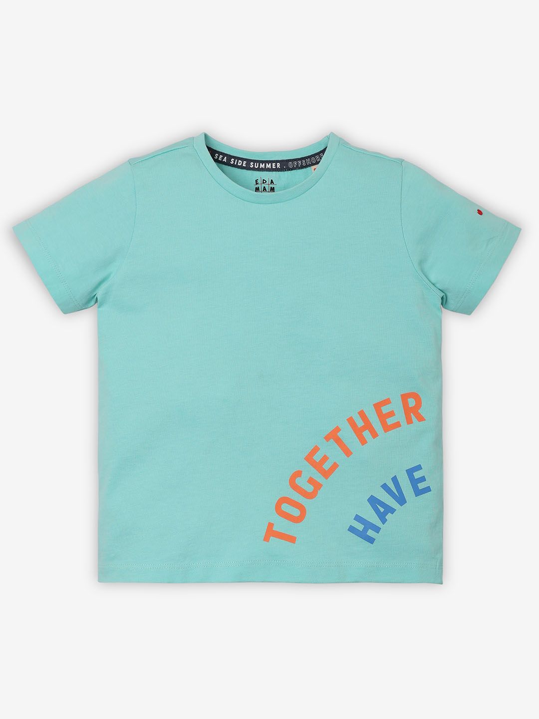 Ed-a-Mamma Boys Typography V-Neck Bio Finish Applique T-shirt